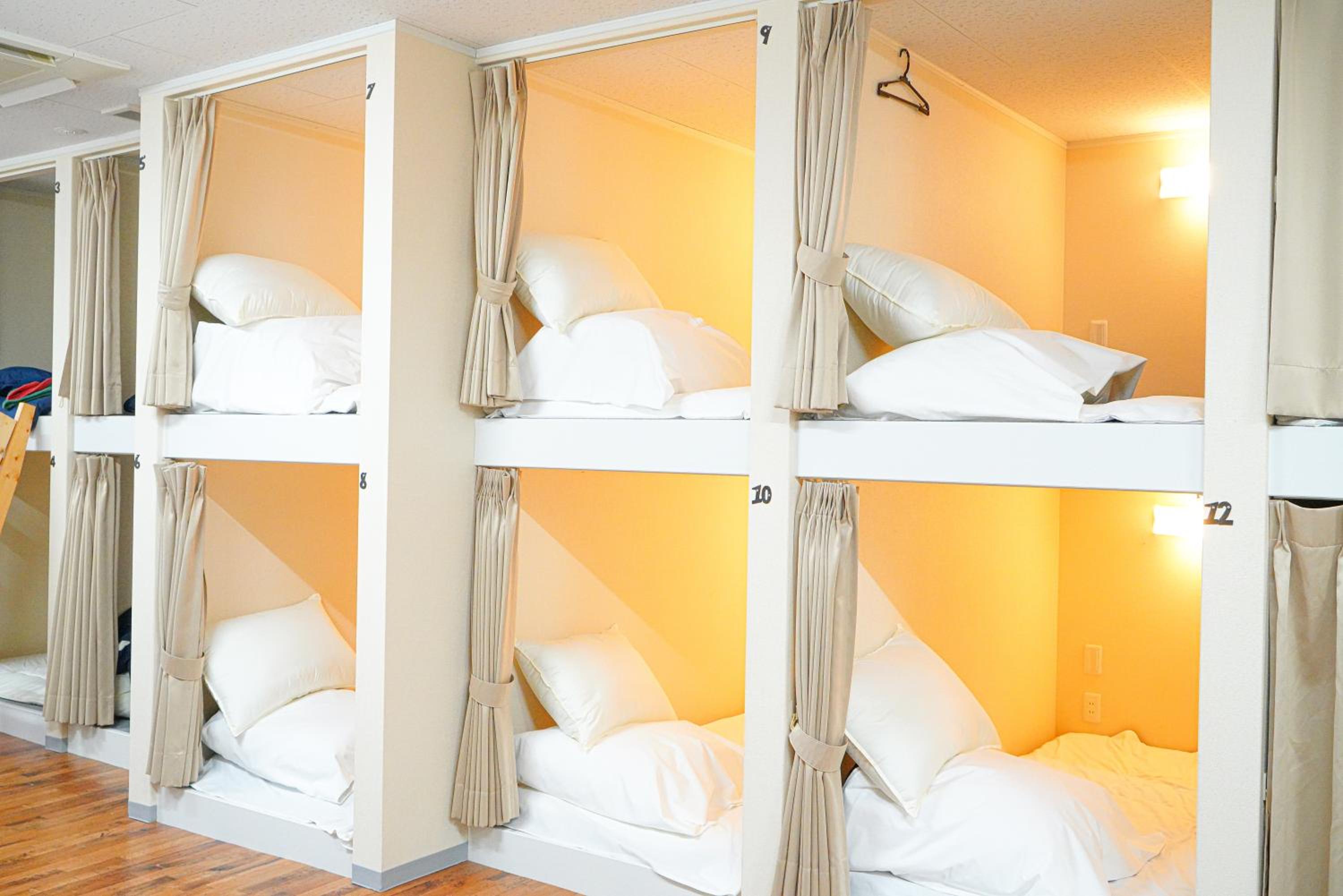 Bunk Bed in Mixed Dormitory Room