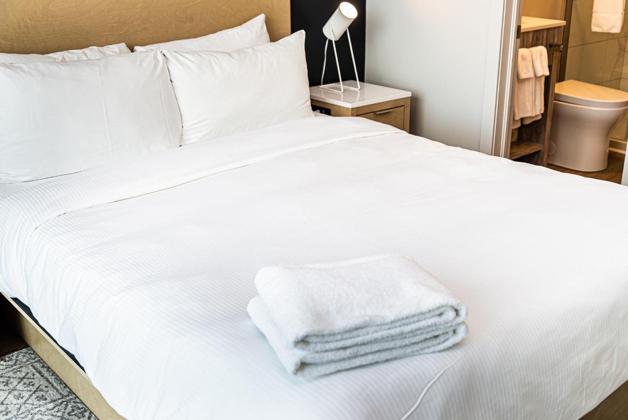 Comfort Plus - City View - Photo 17