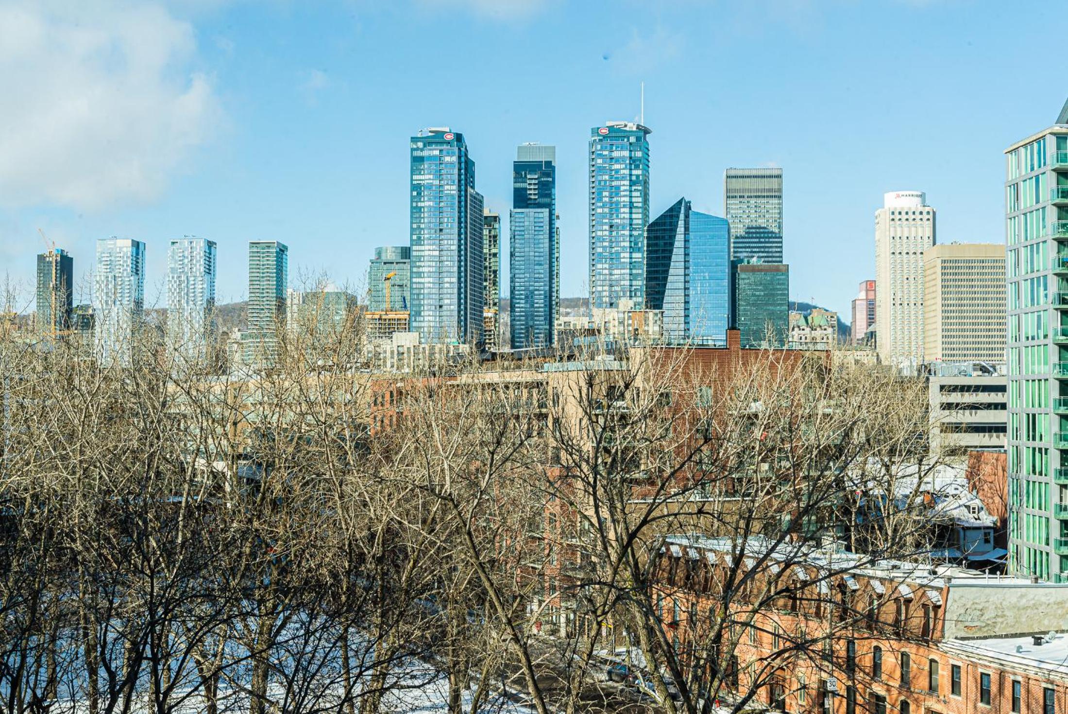 Comfort Plus - City View - Photo 19