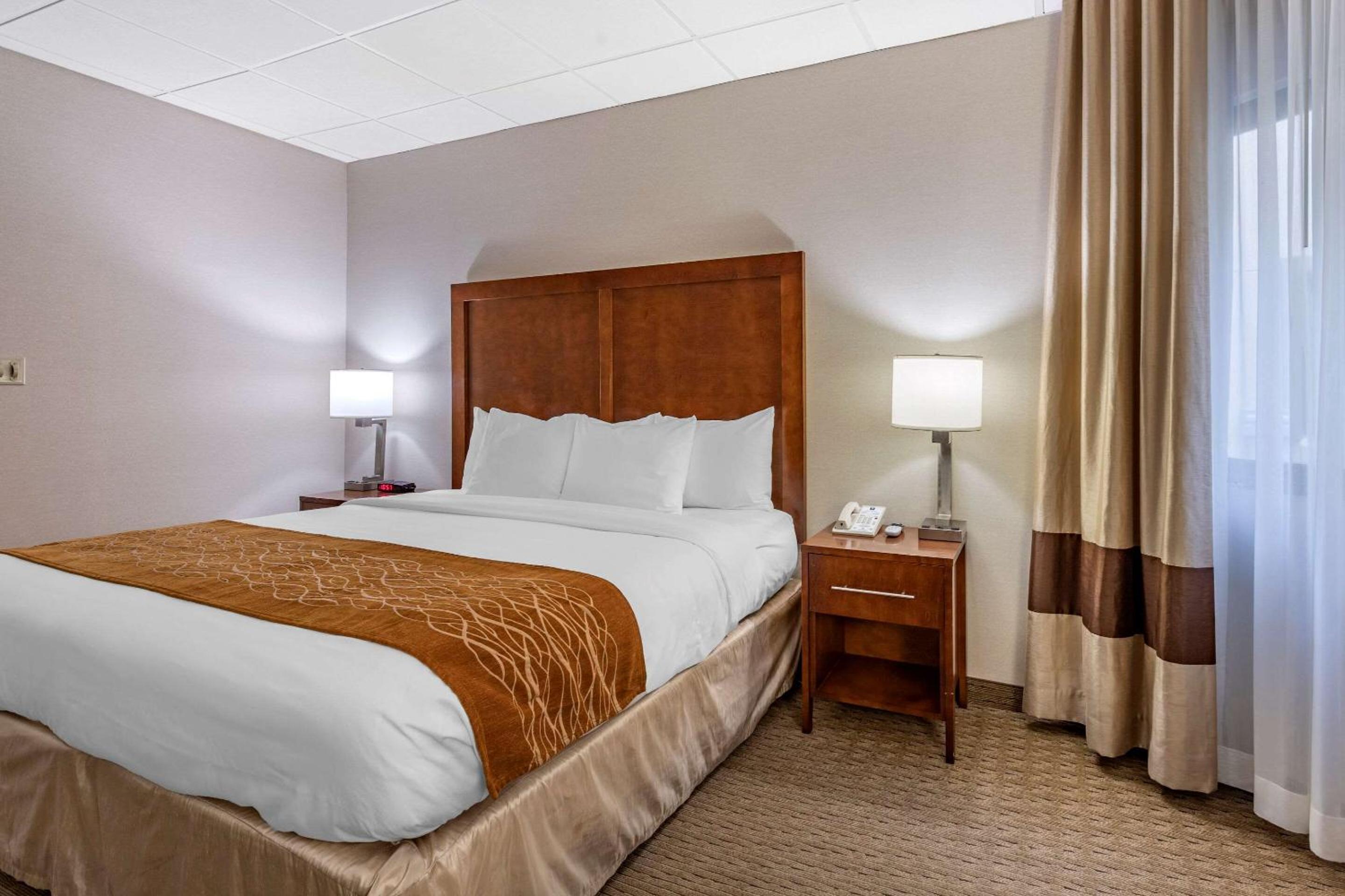 King Room with Roll-In Shower - Accessible/Non-Smoking - Photo 4