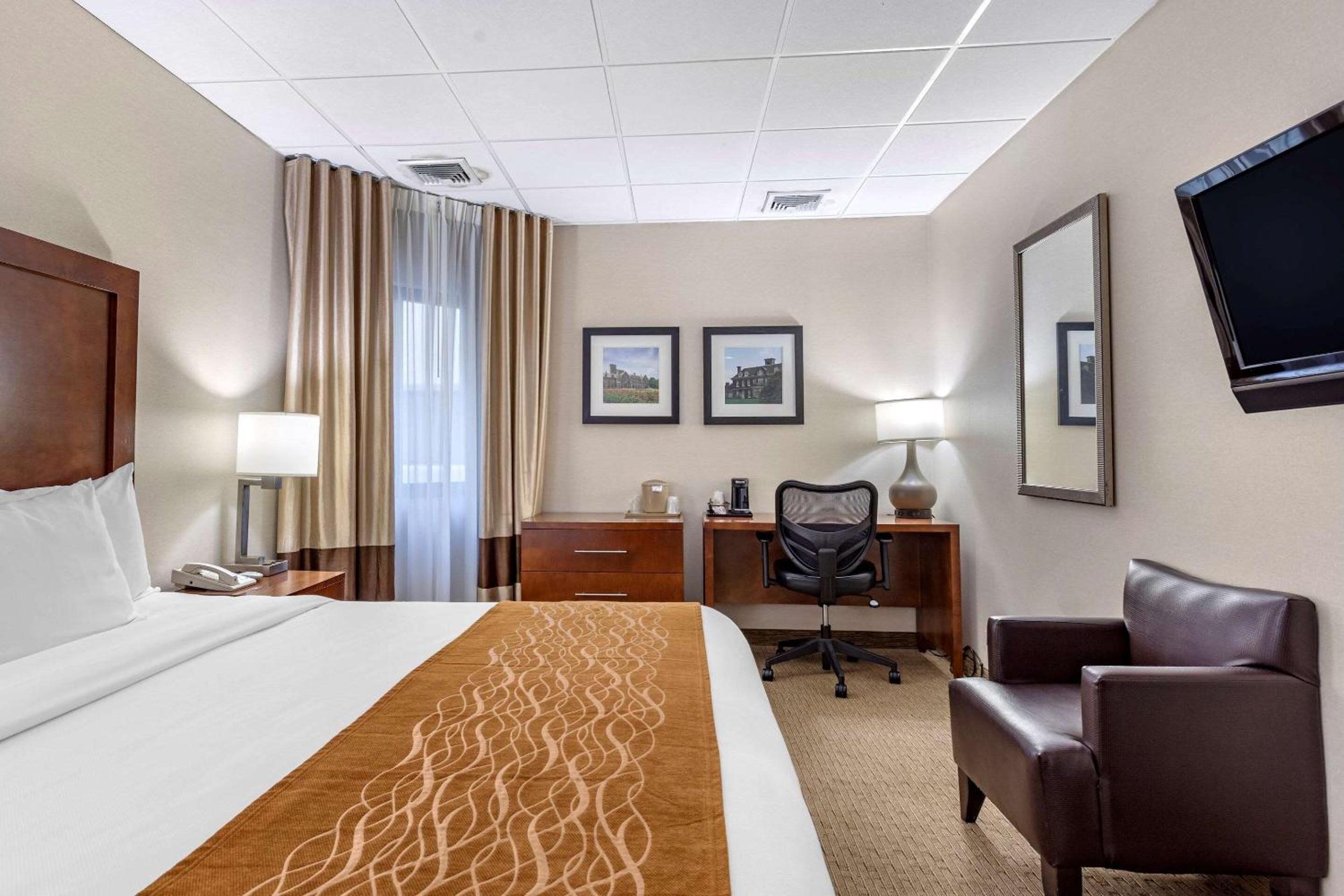 King Room with Roll-In Shower - Accessible/Non-Smoking - Photo 3