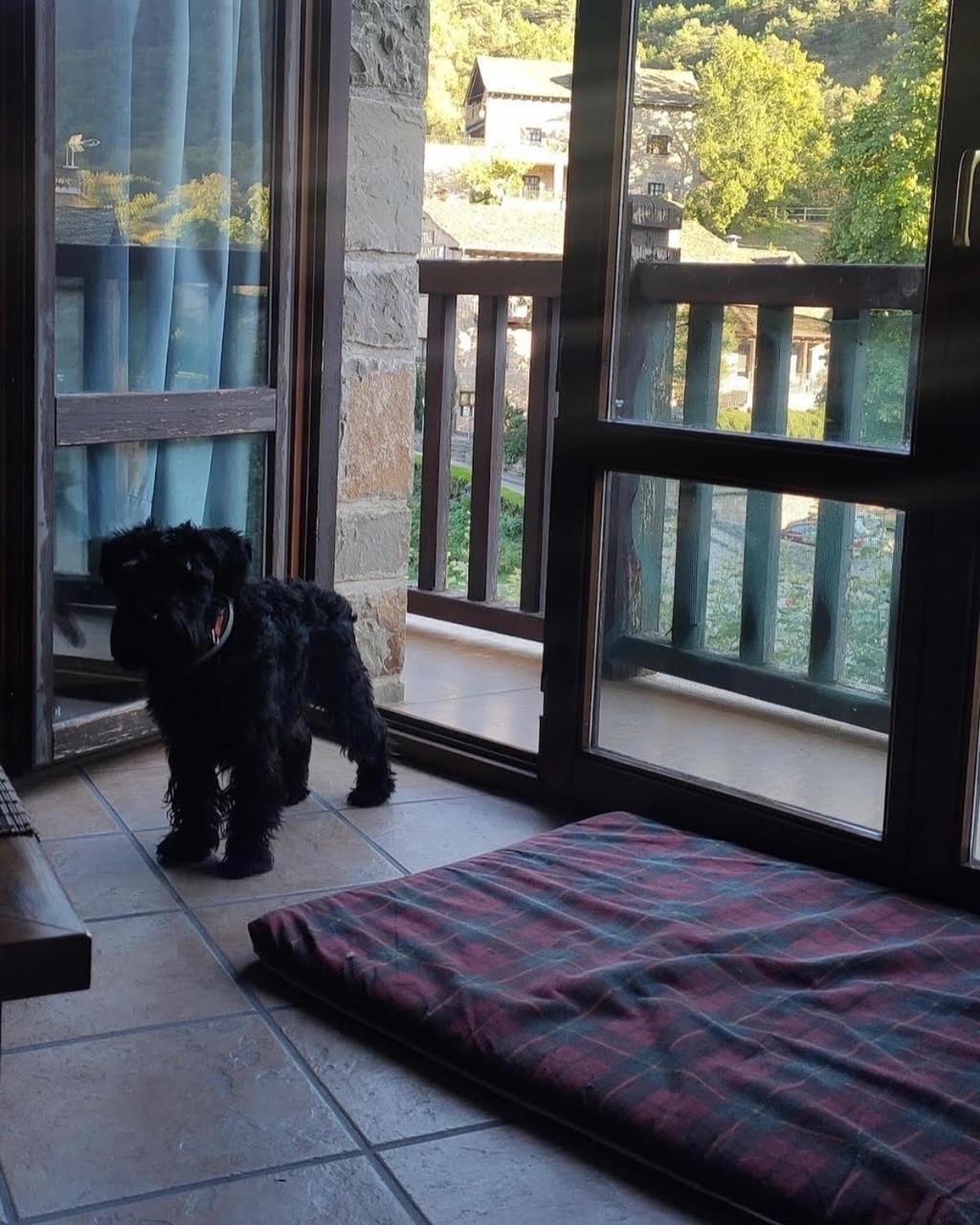 Apartamento Penthouse