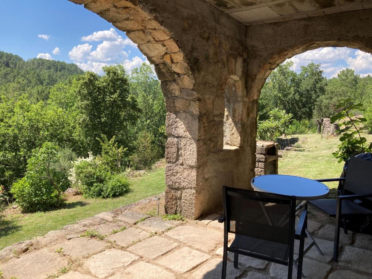Studio with Terrace photo 2
