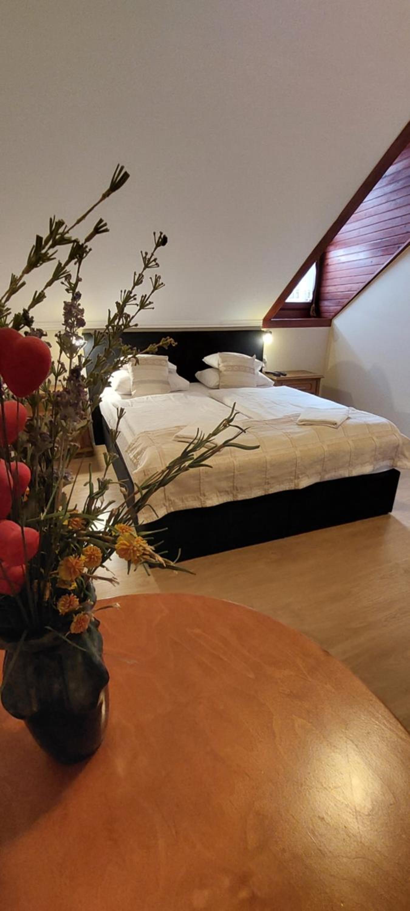 Double or Twin Room photo 3