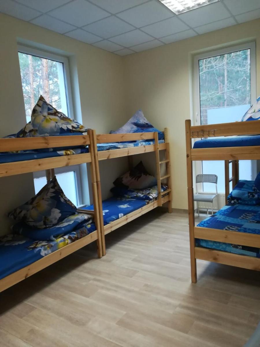 Bed in 6-Bed Dormitory Room