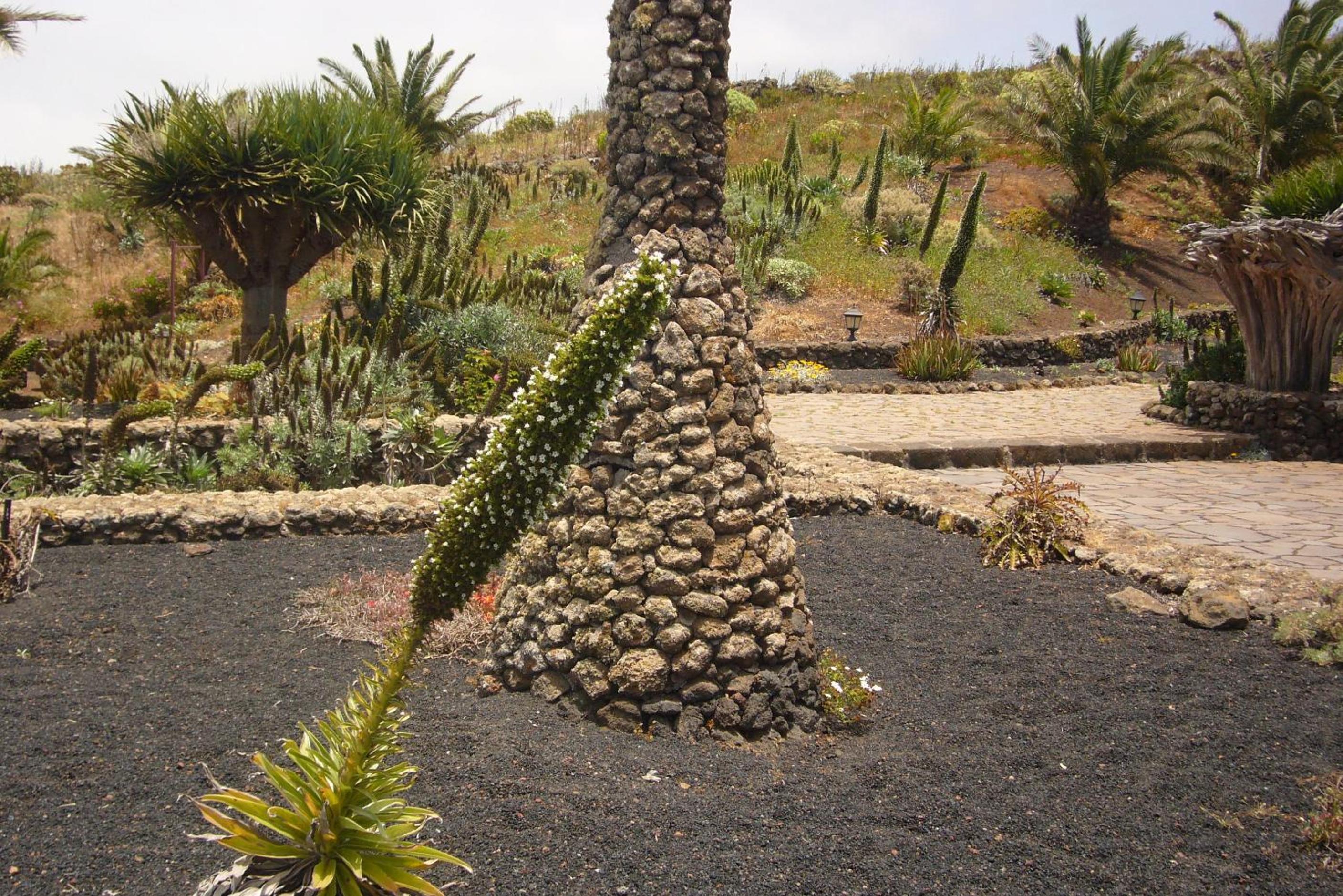 El Castano photo 3