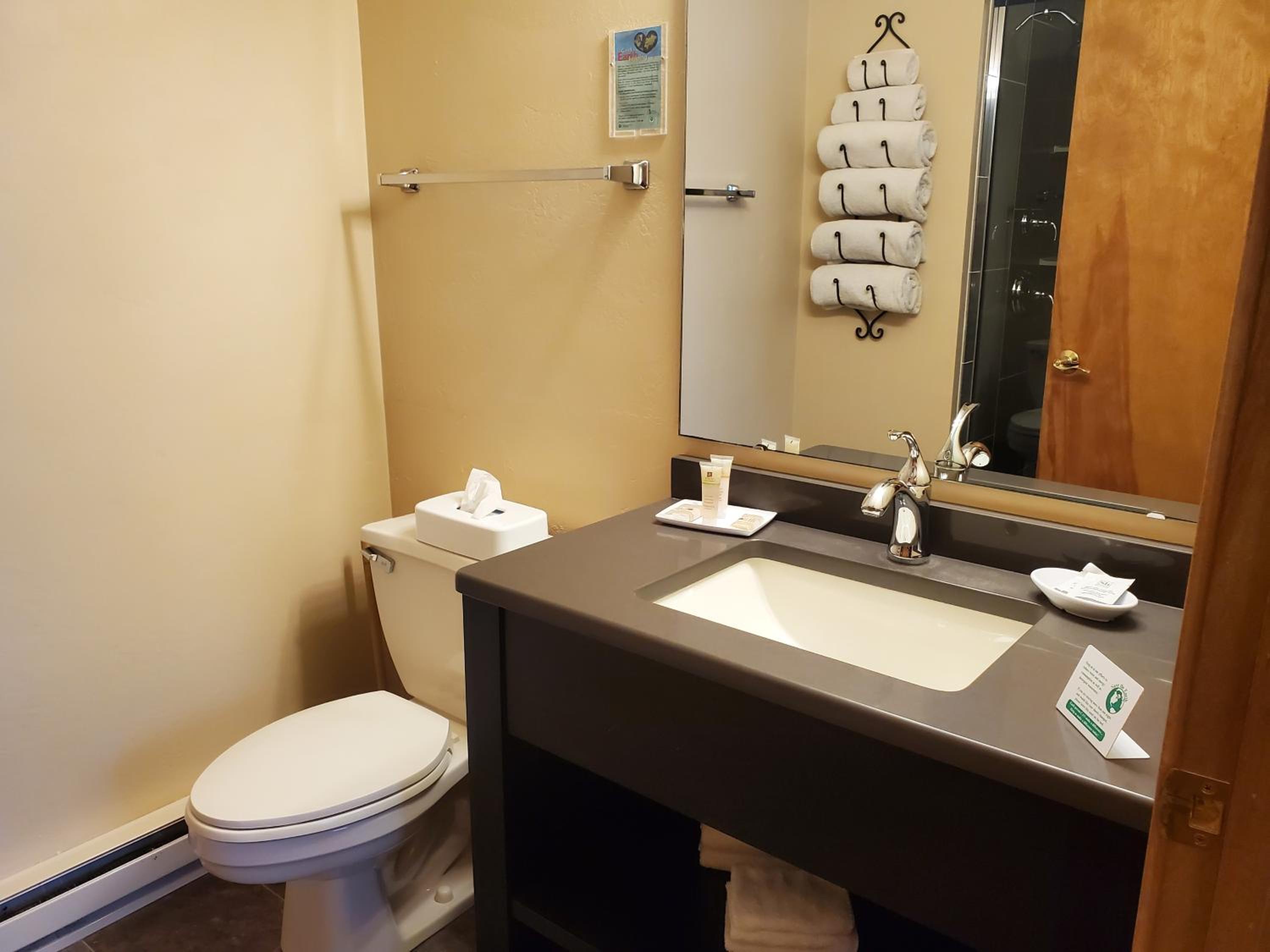 One-Bedroom King Suite photo 2