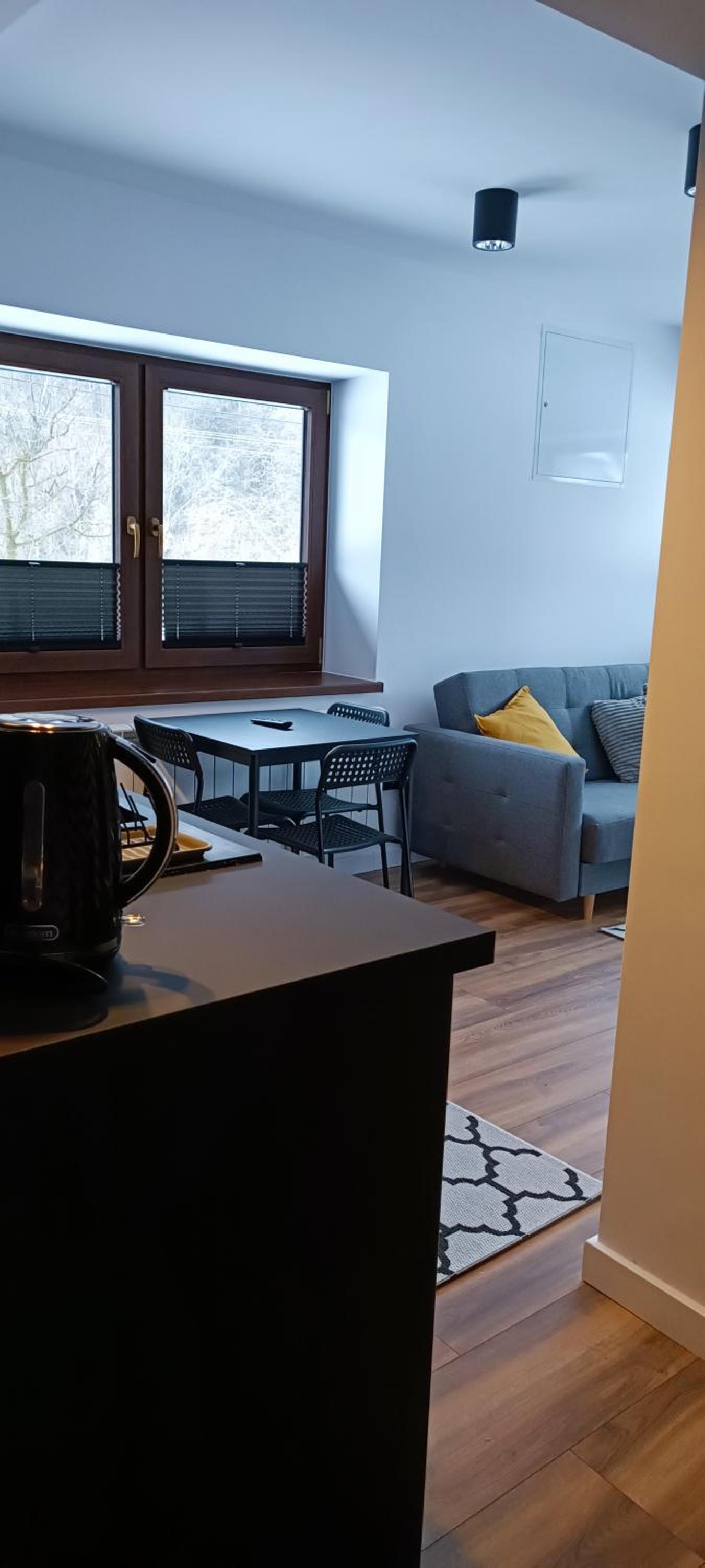 One-Bedroom Apartment photo 2