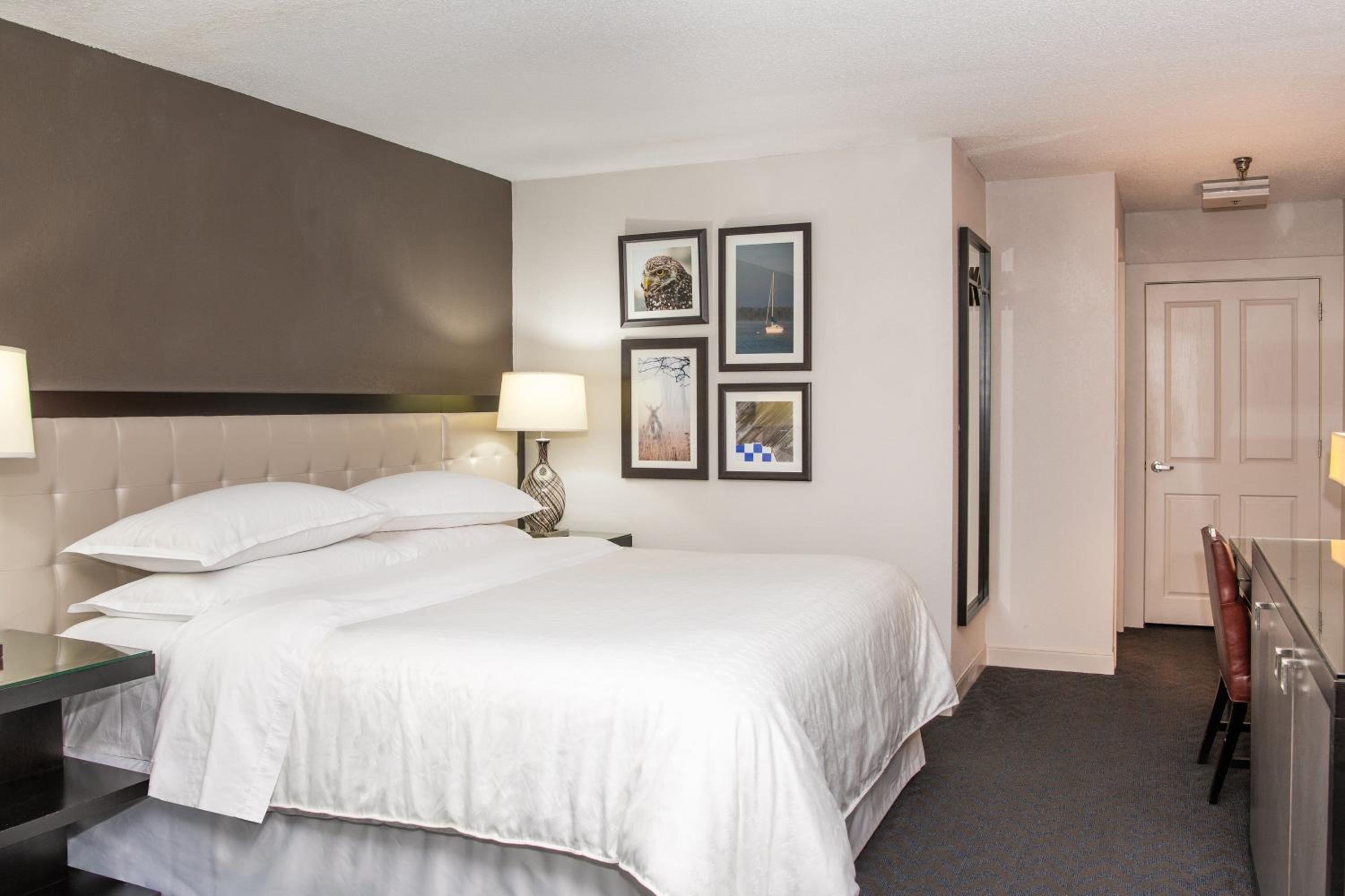 Traditional King, Guest room, 1 King - Photo 8