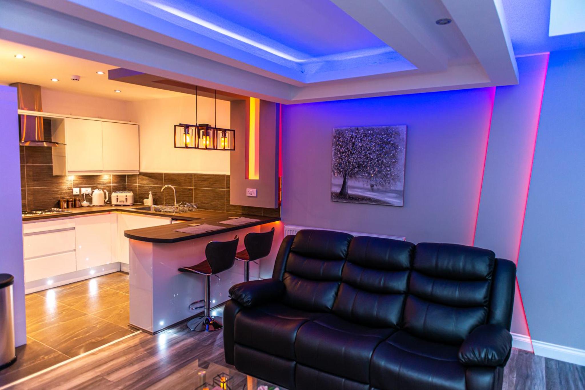 Deluxe One-Bedroom Apartment - Photo 4