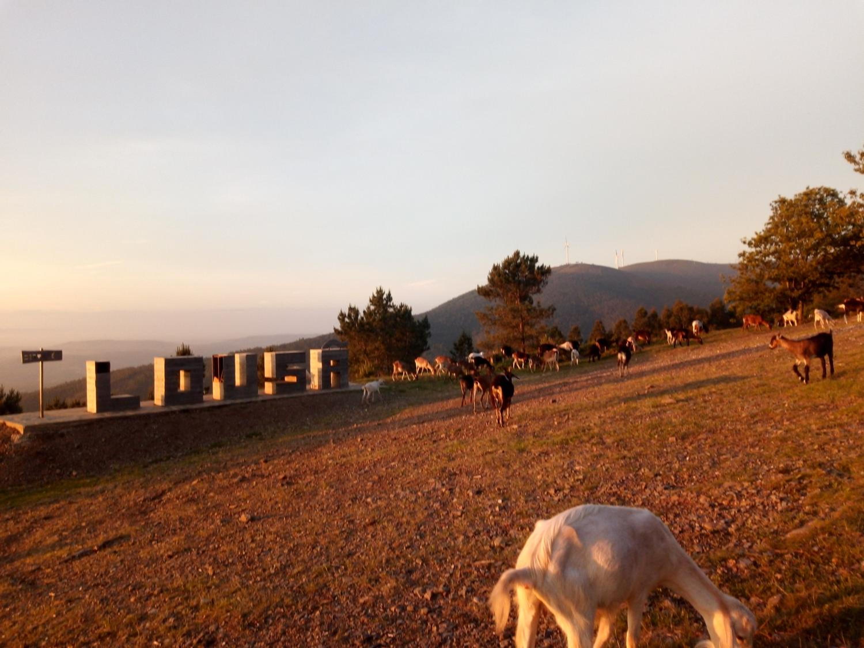 Vacation Home - Photo 17