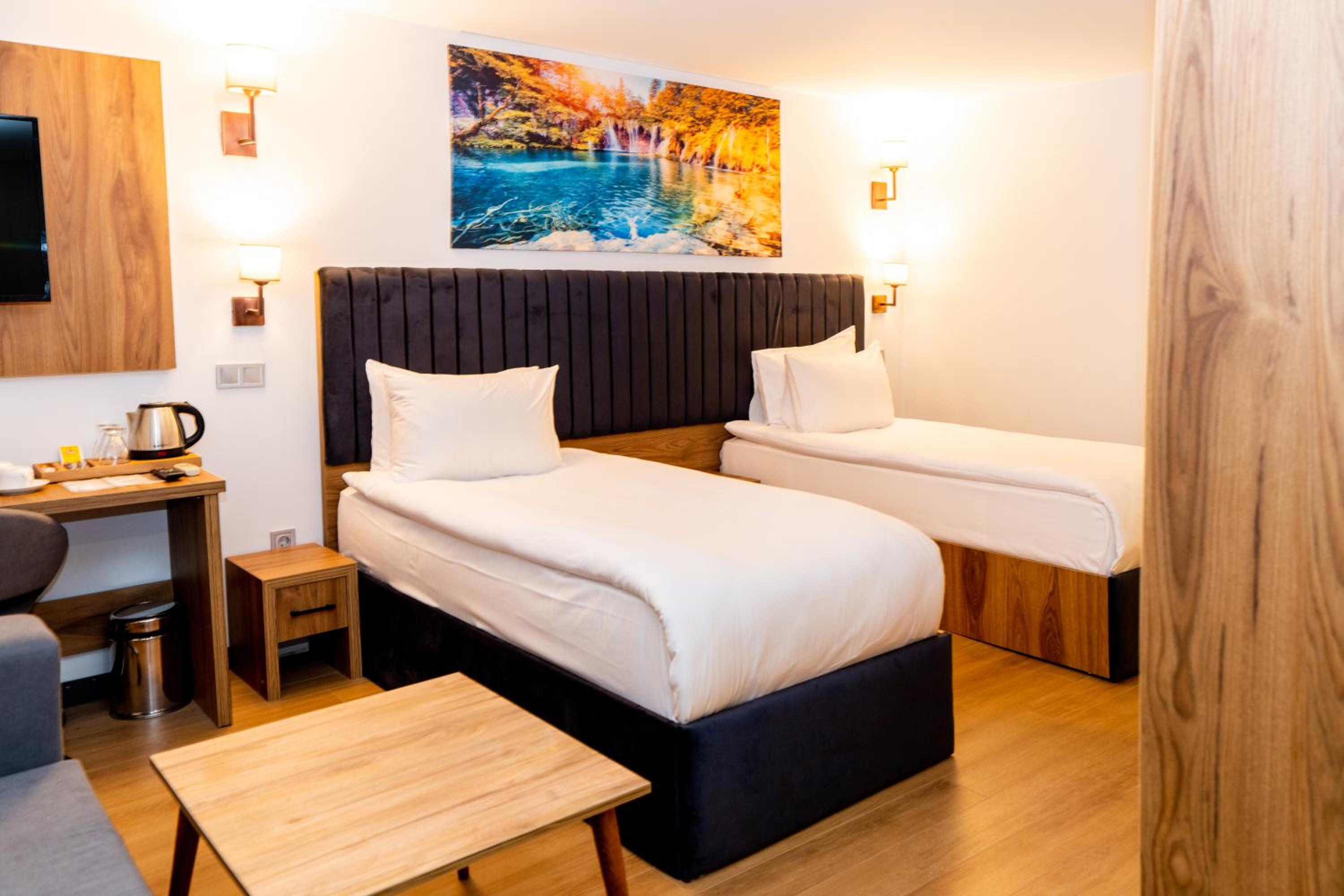 Superior Twin Room photo 2