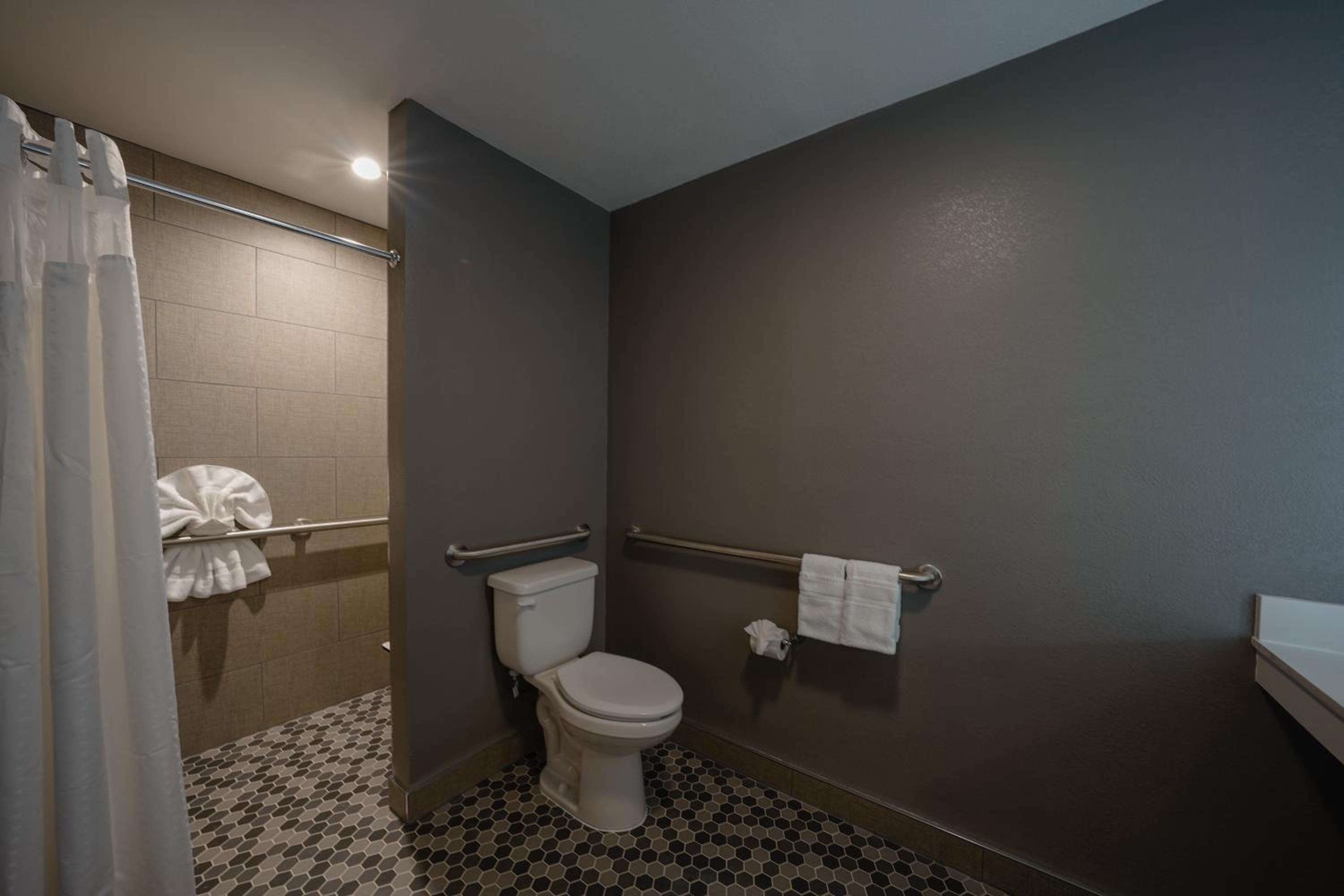 Suite - Mobility Access Roll in Shower/Non-Smoking