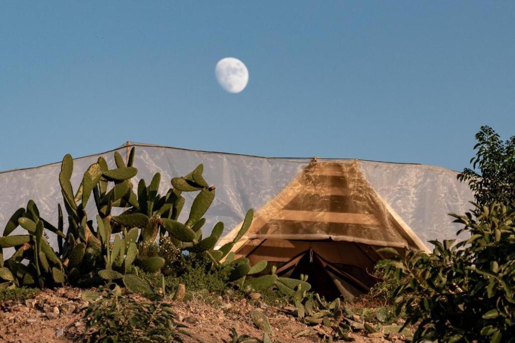Tent photo 3