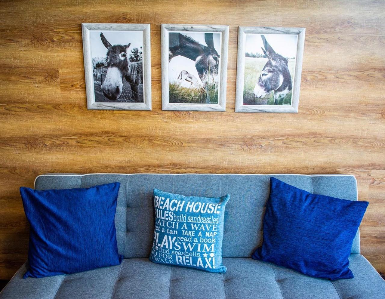 One-Bedroom Apartment - Photo 4