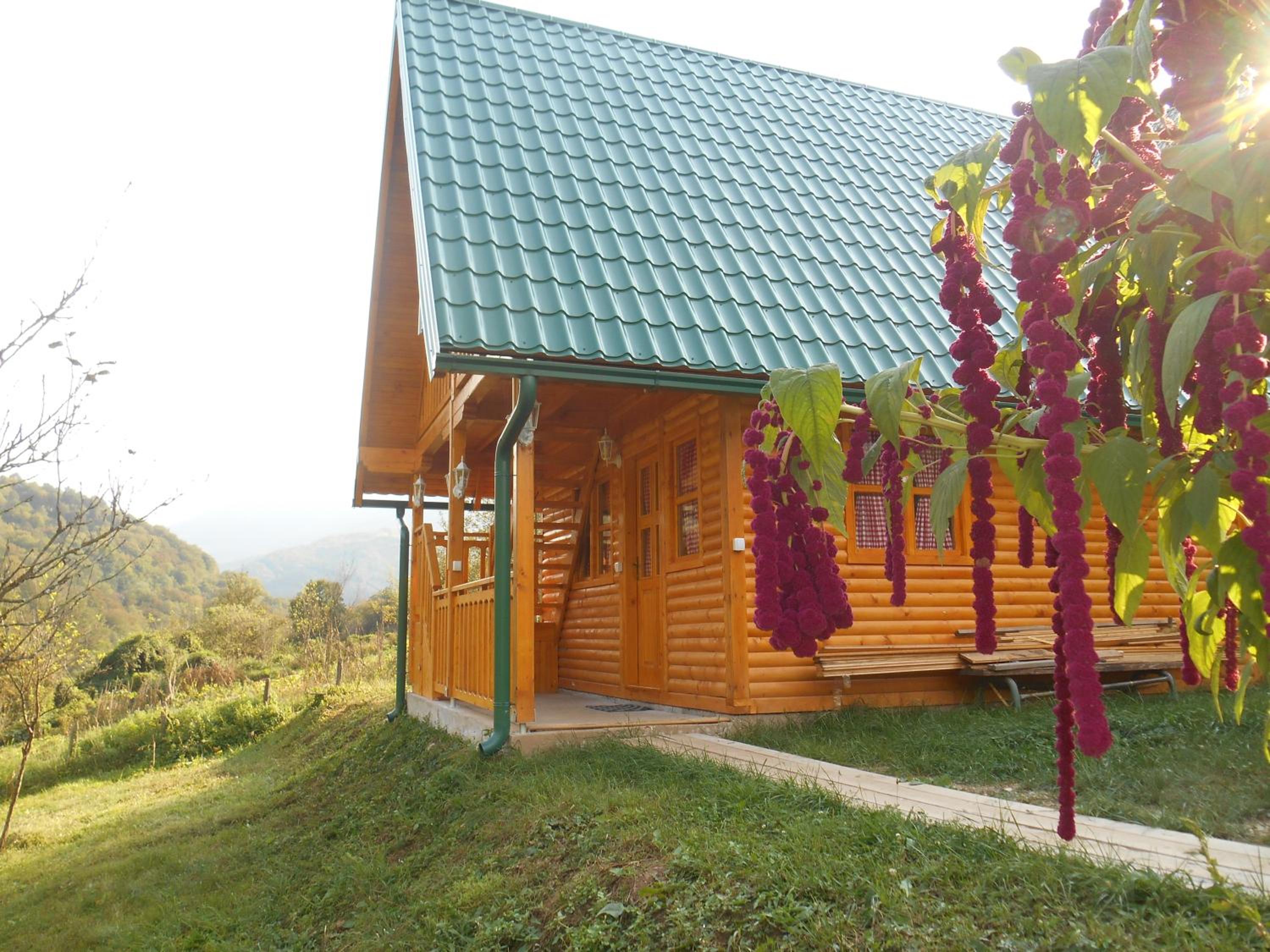 Bungalow - Water Front