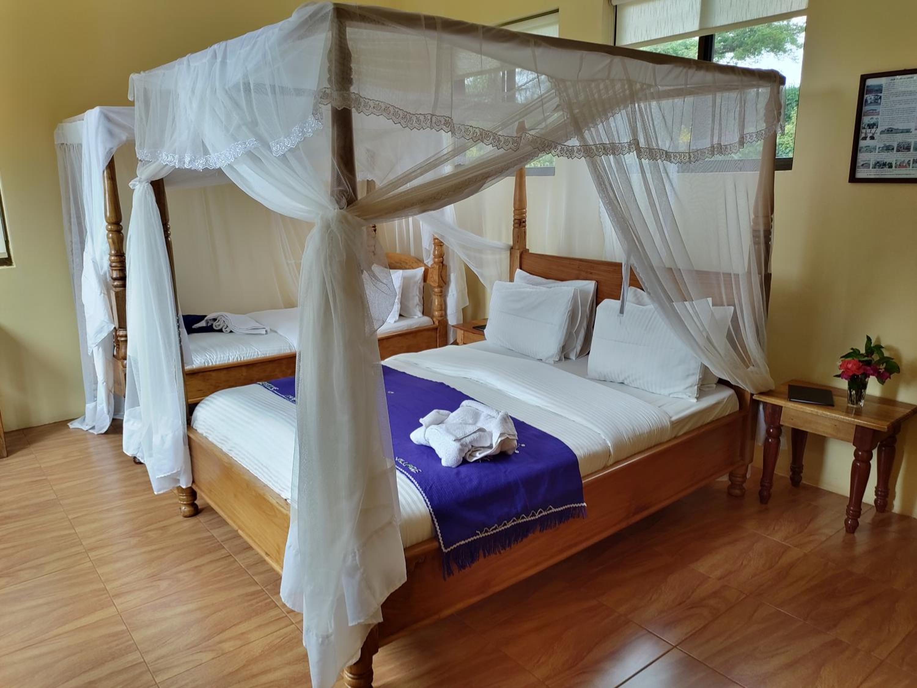 Deluxe Room photo 2