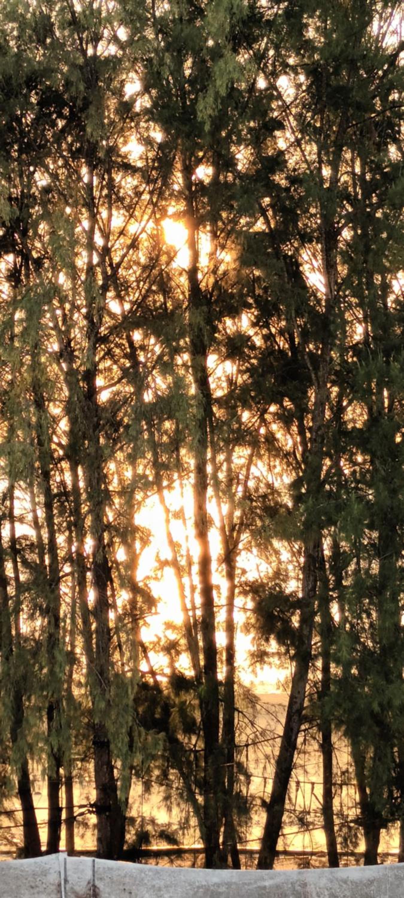 Studio with Pool View photo 3