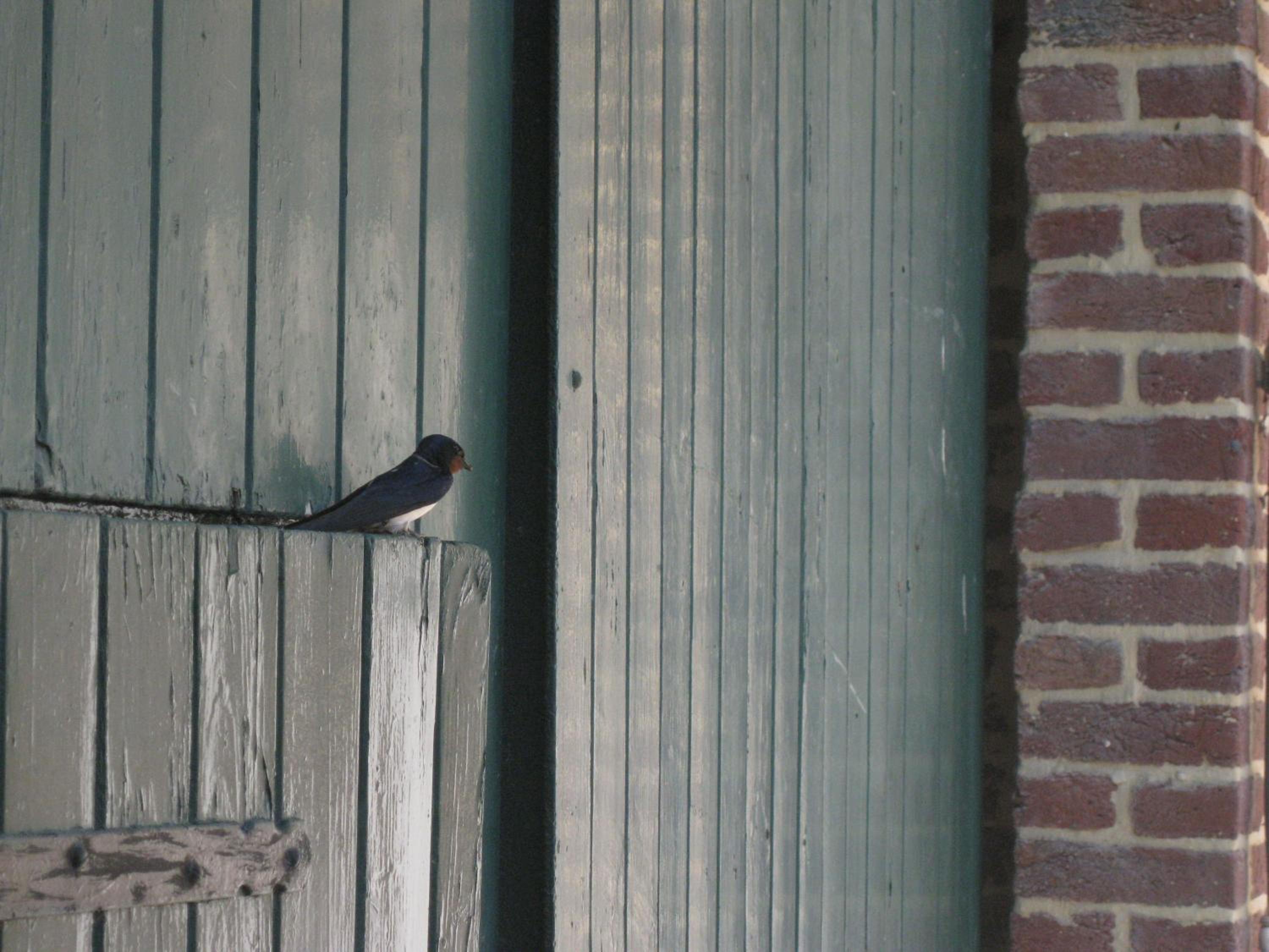Vacation Home - Photo 67