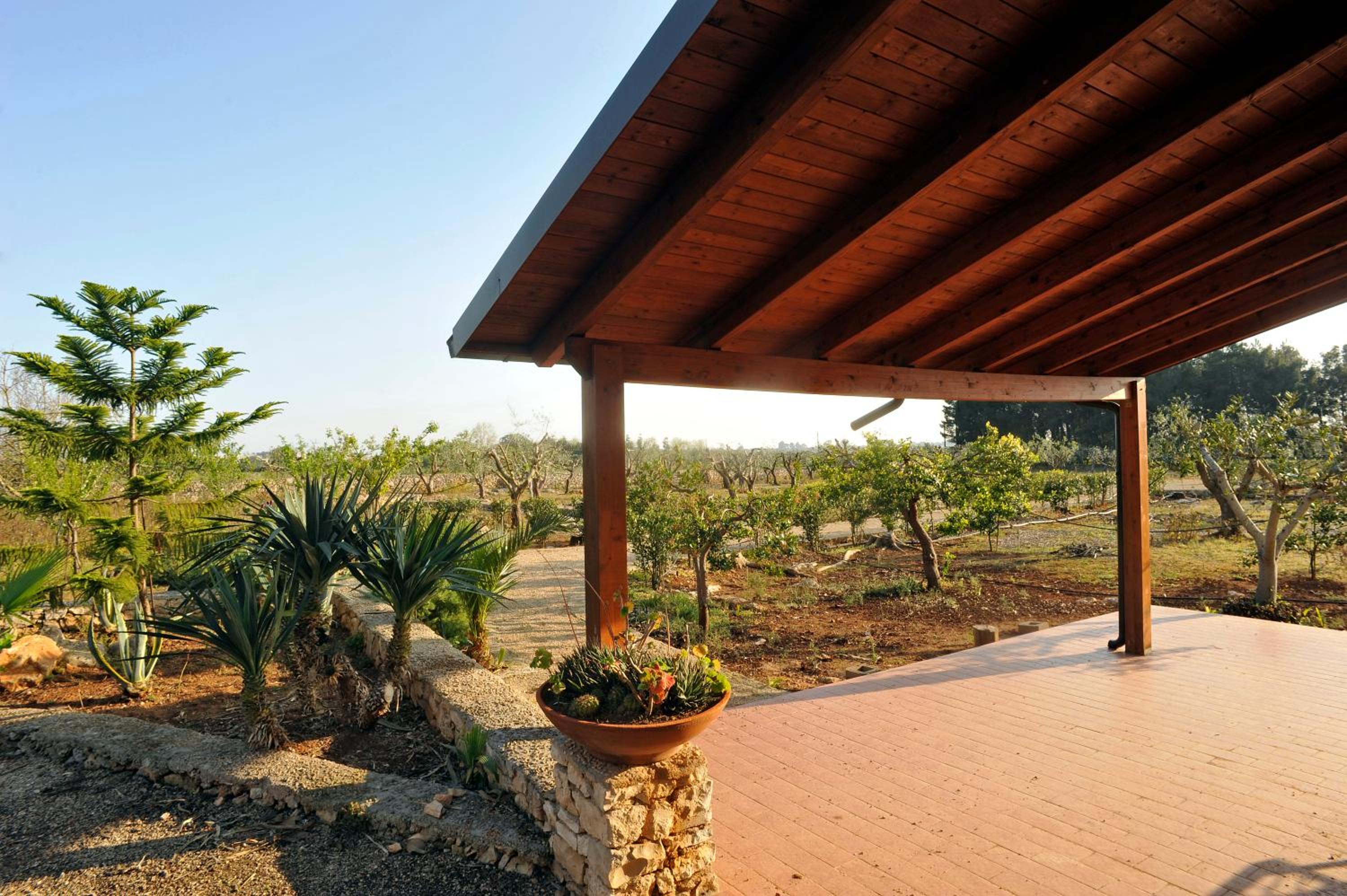 Studio with Terrace photo 3