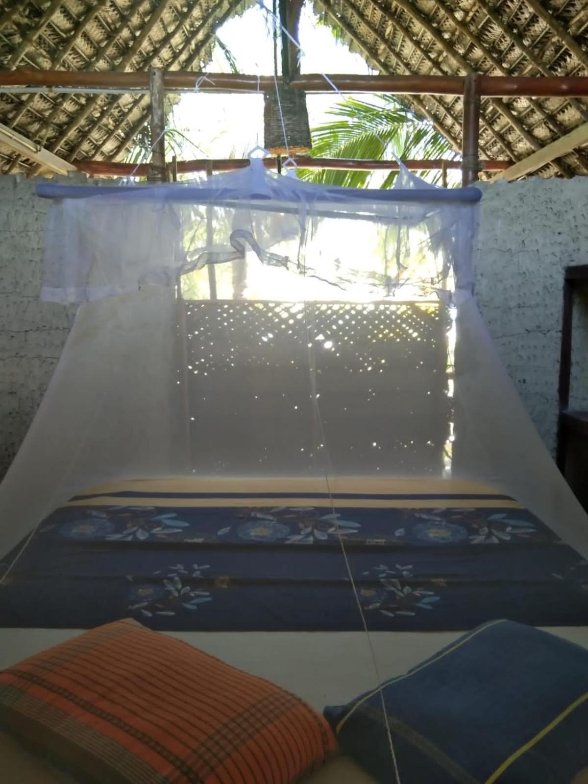 Double Room with Garden View photo 1
