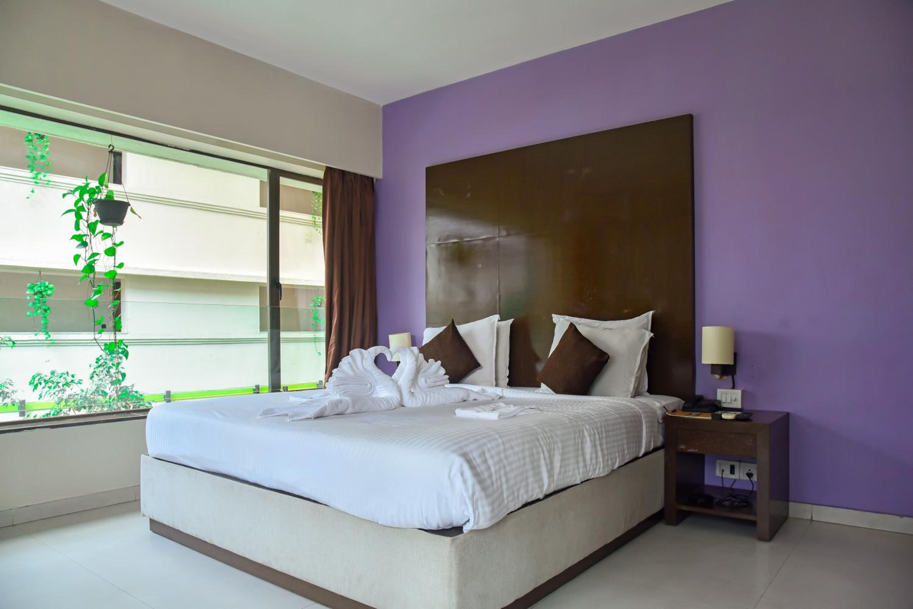 Suite photo 3