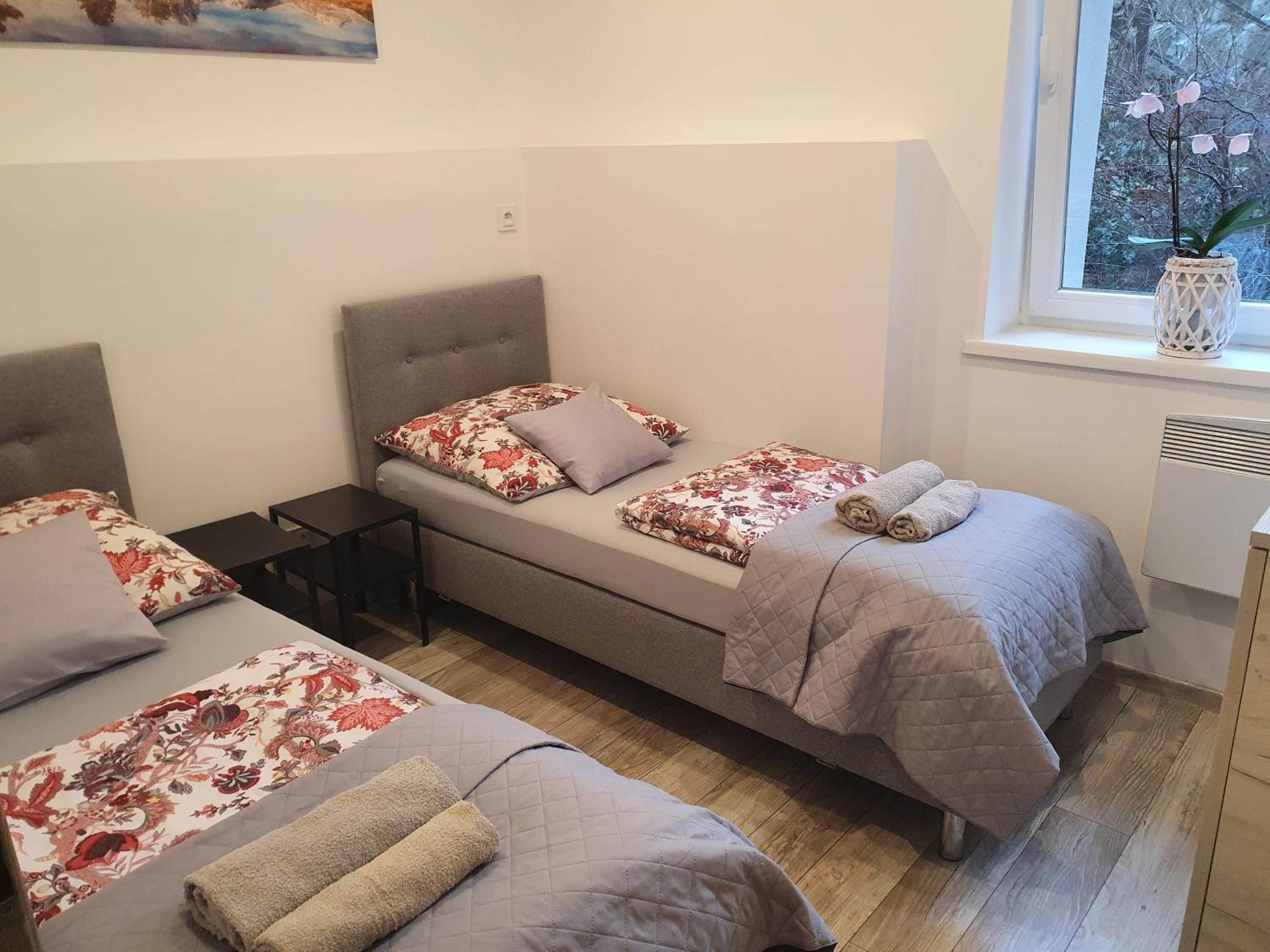 Apartment with Mountain View photo 3