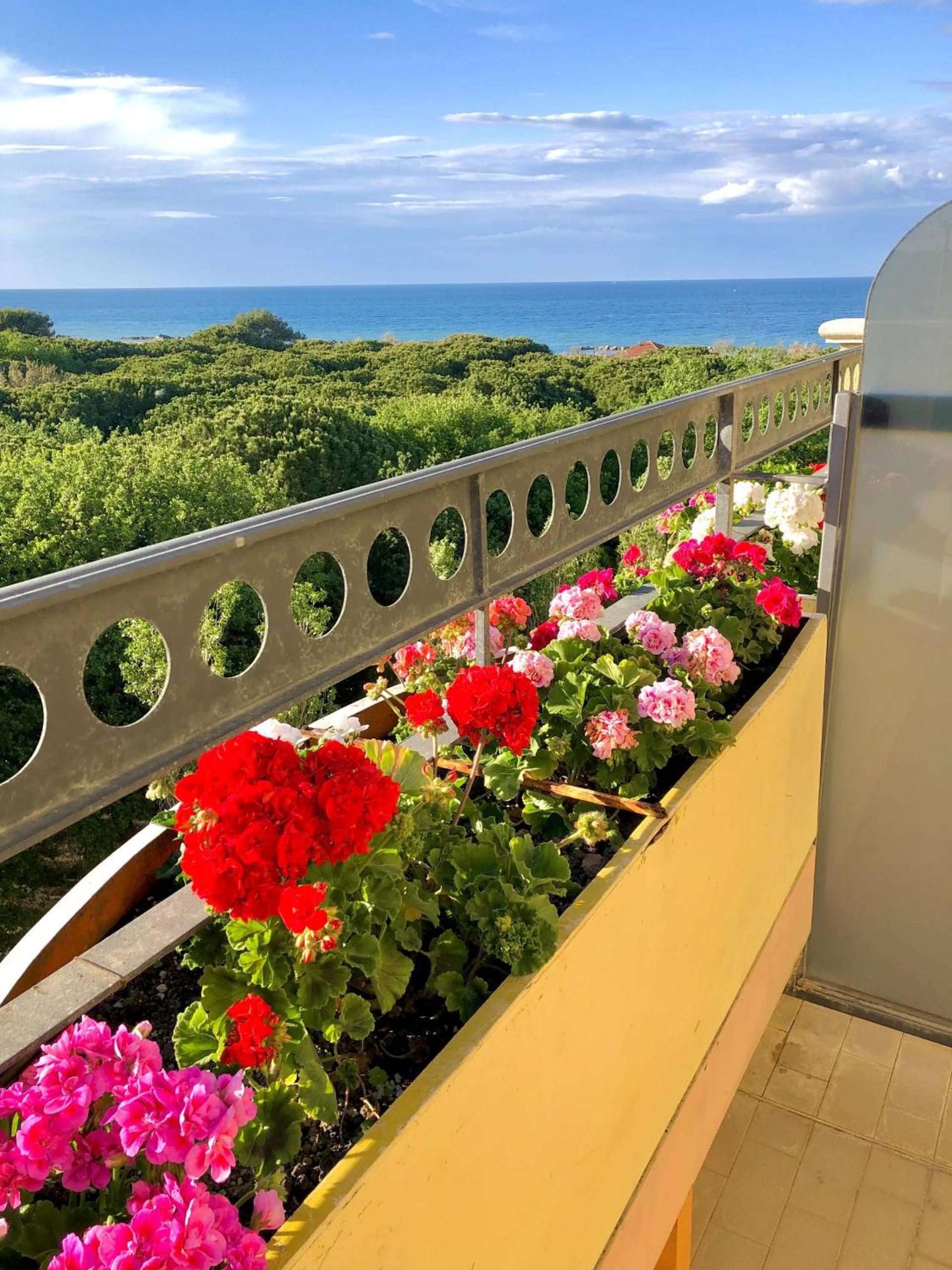 Double Room with Balcony and Sea View photo 2
