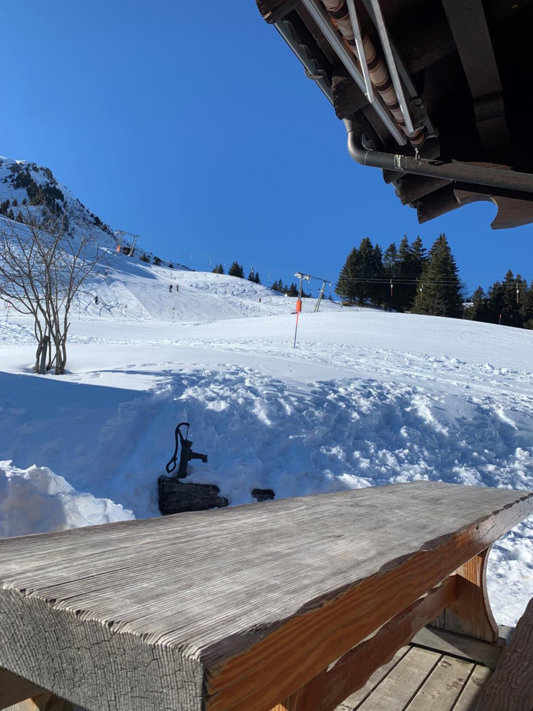 Superior Chalet photo 3