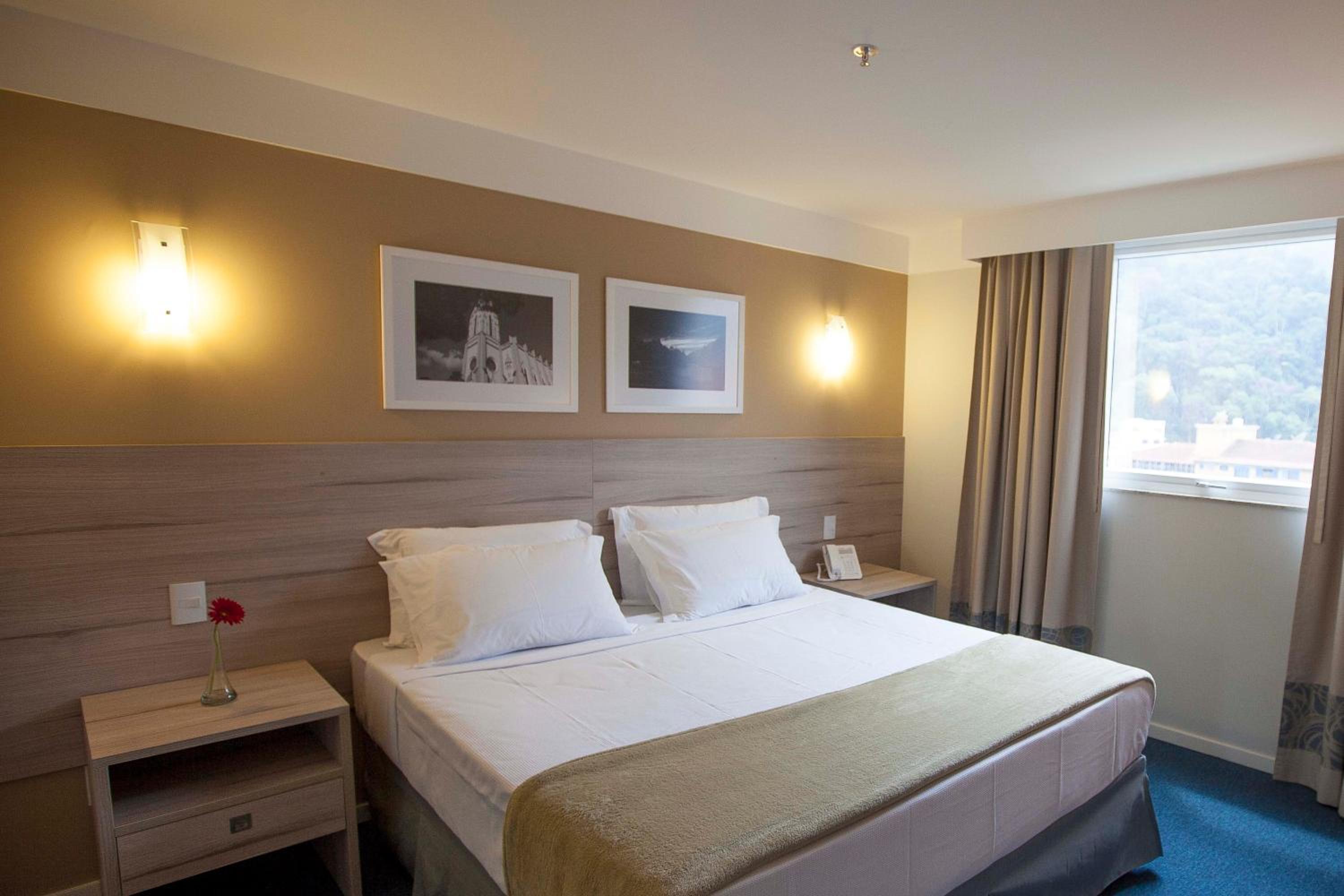 Standard Double - 1 Queen Bed photo 3