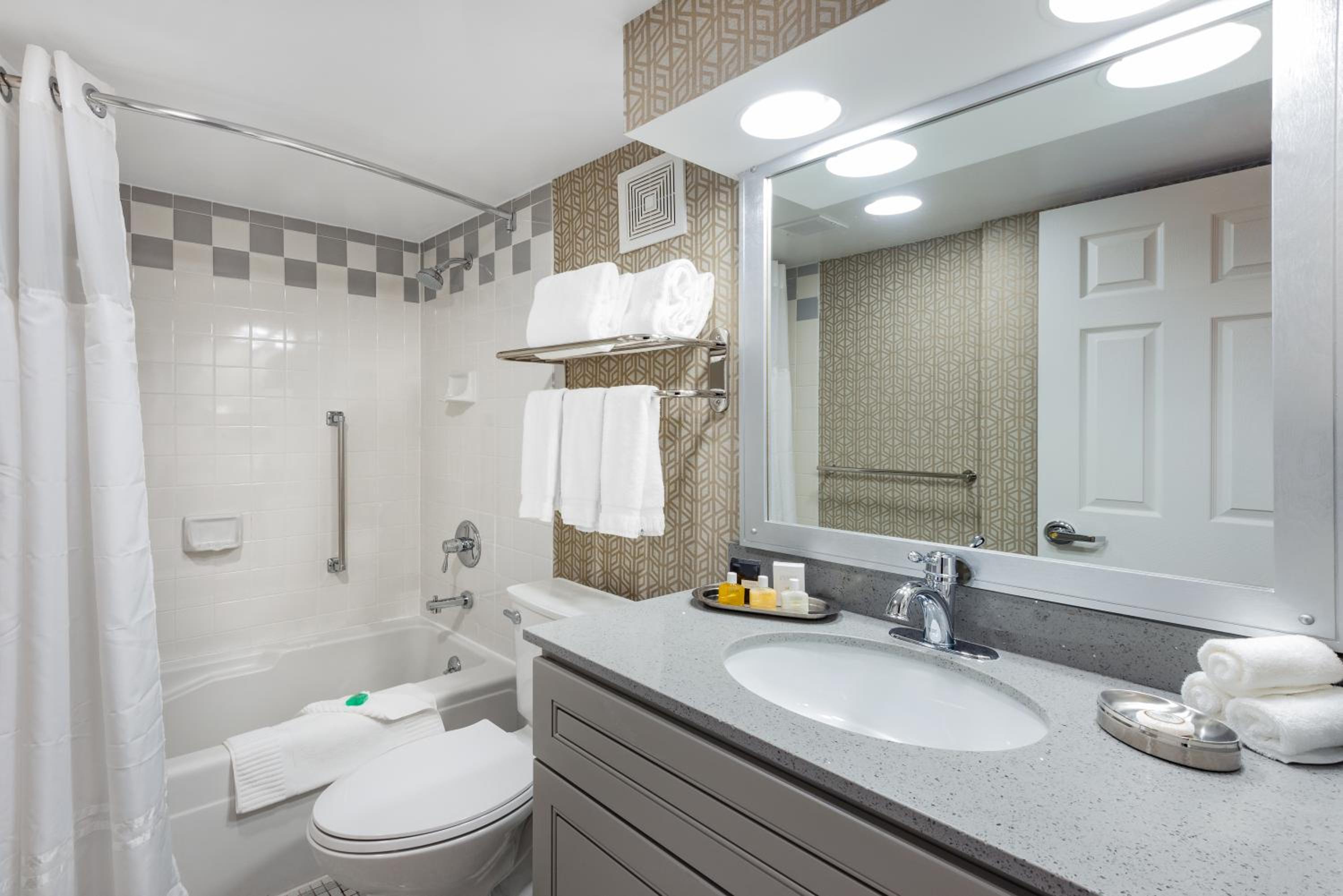 Deluxe One-Bedroom King Suite - Non-Smoking - Photo 4