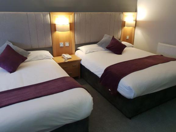 Club Twin Family Room - Photo 4