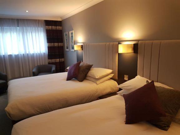 Club Twin Family Room - Photo 3