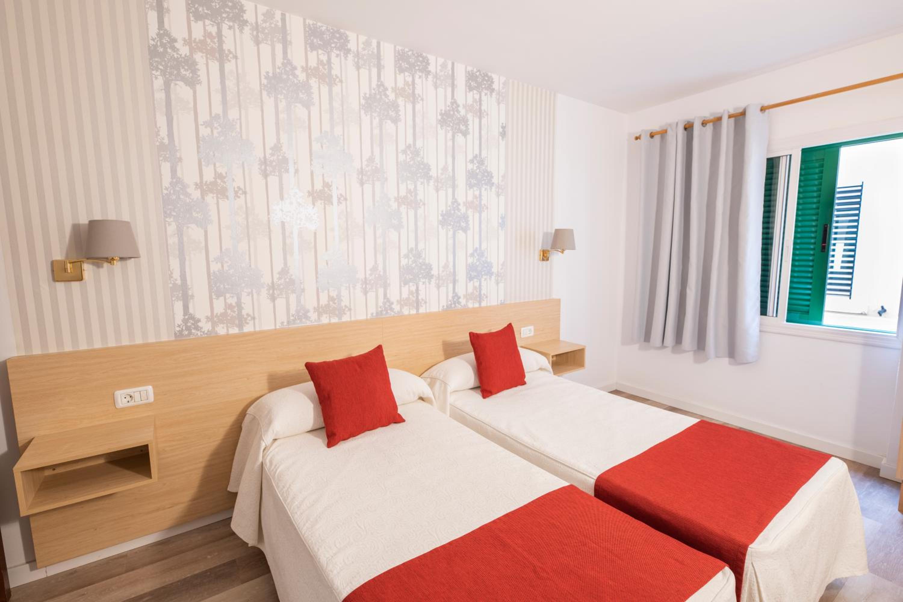Twin Room photo 3
