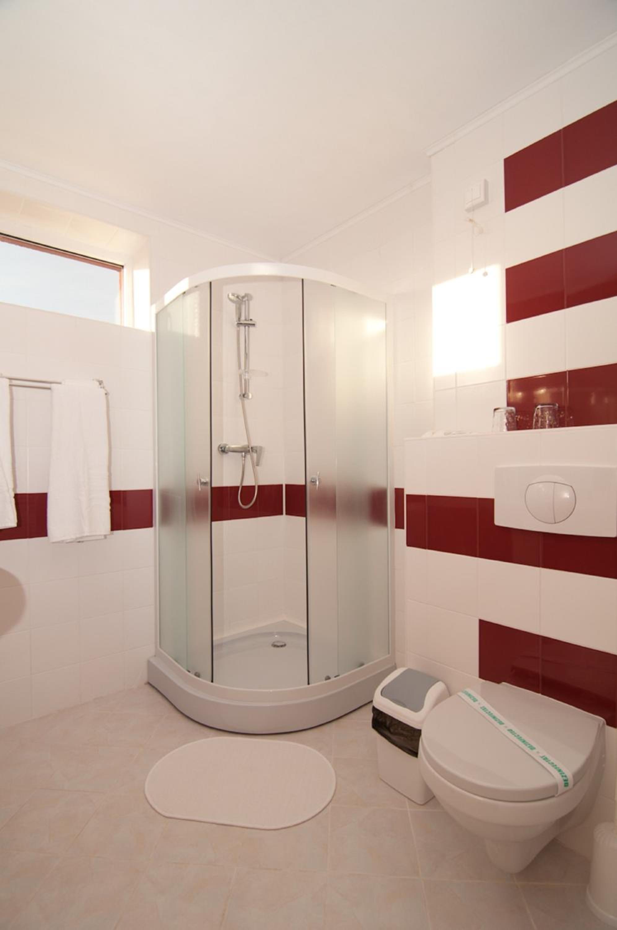 Twin Room with Indoor Pool and Jacuzzi Access  photo 2