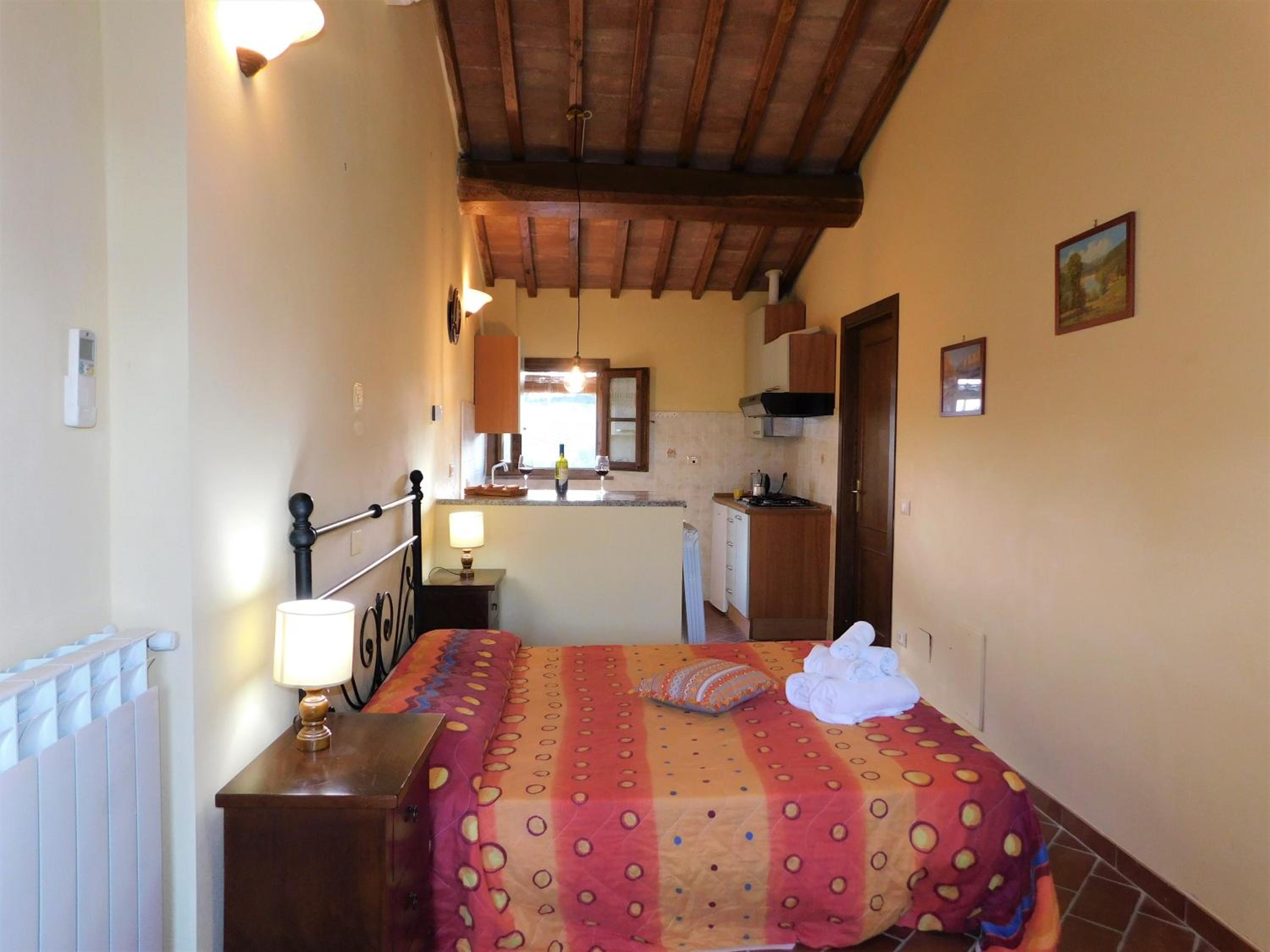Studio with Terrace photo 1