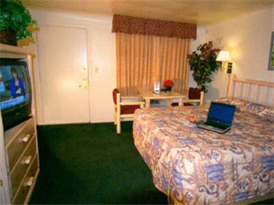 King Room photo 3