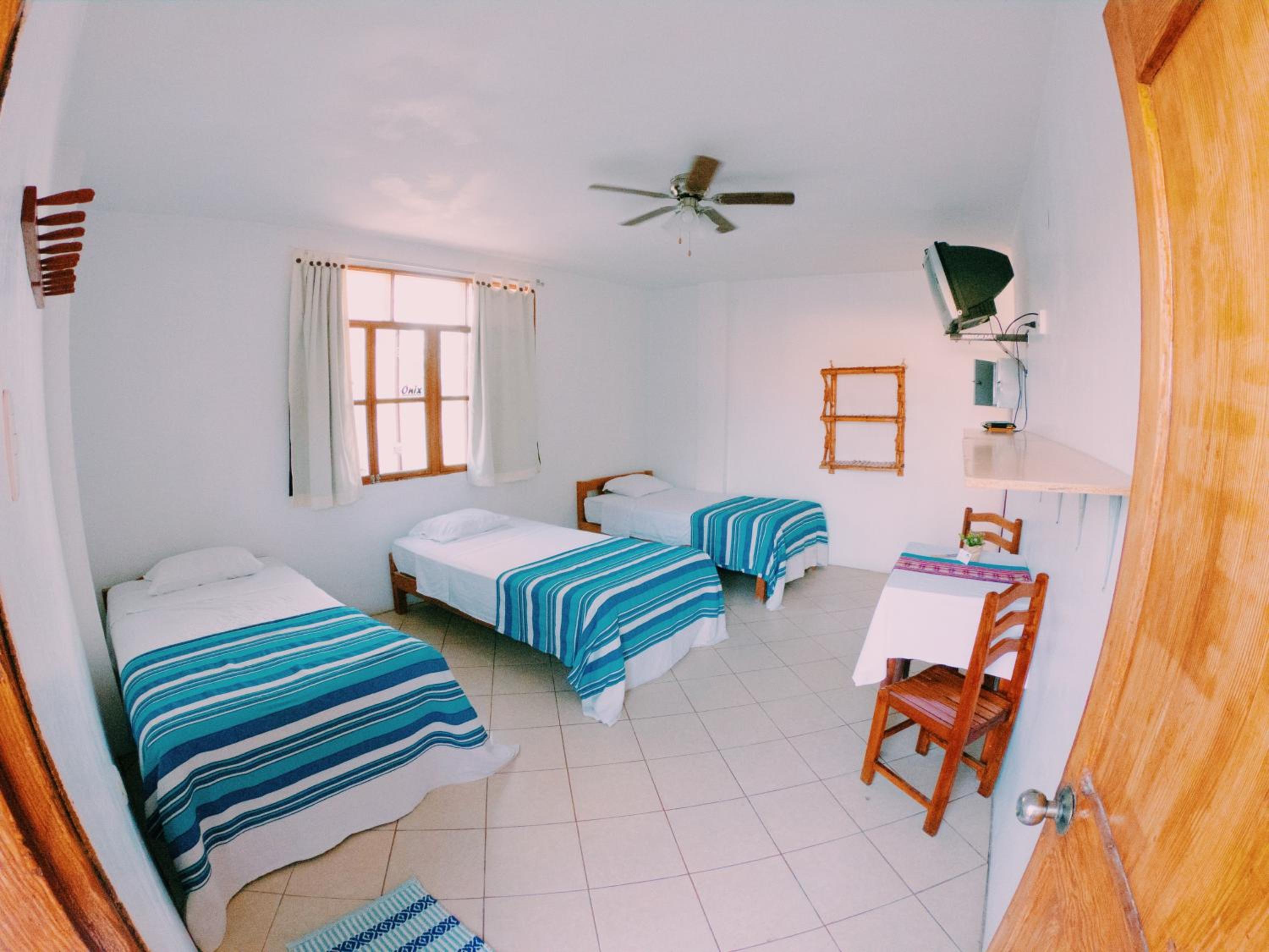 Triple Room photo 1