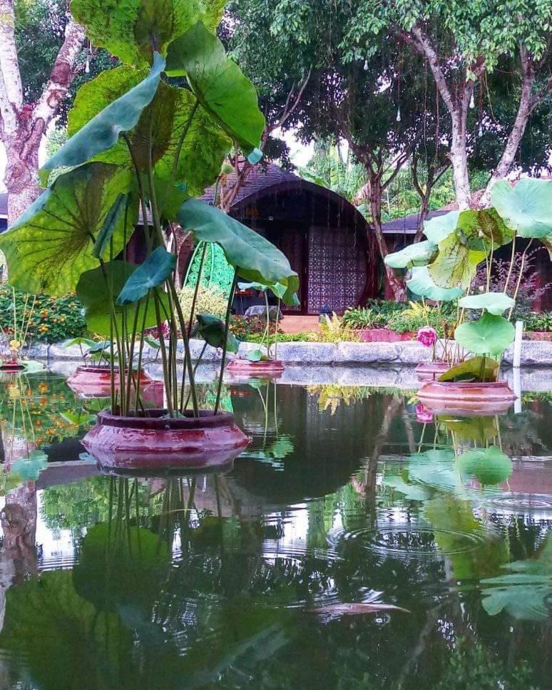 Family Bungalow - Photo 4
