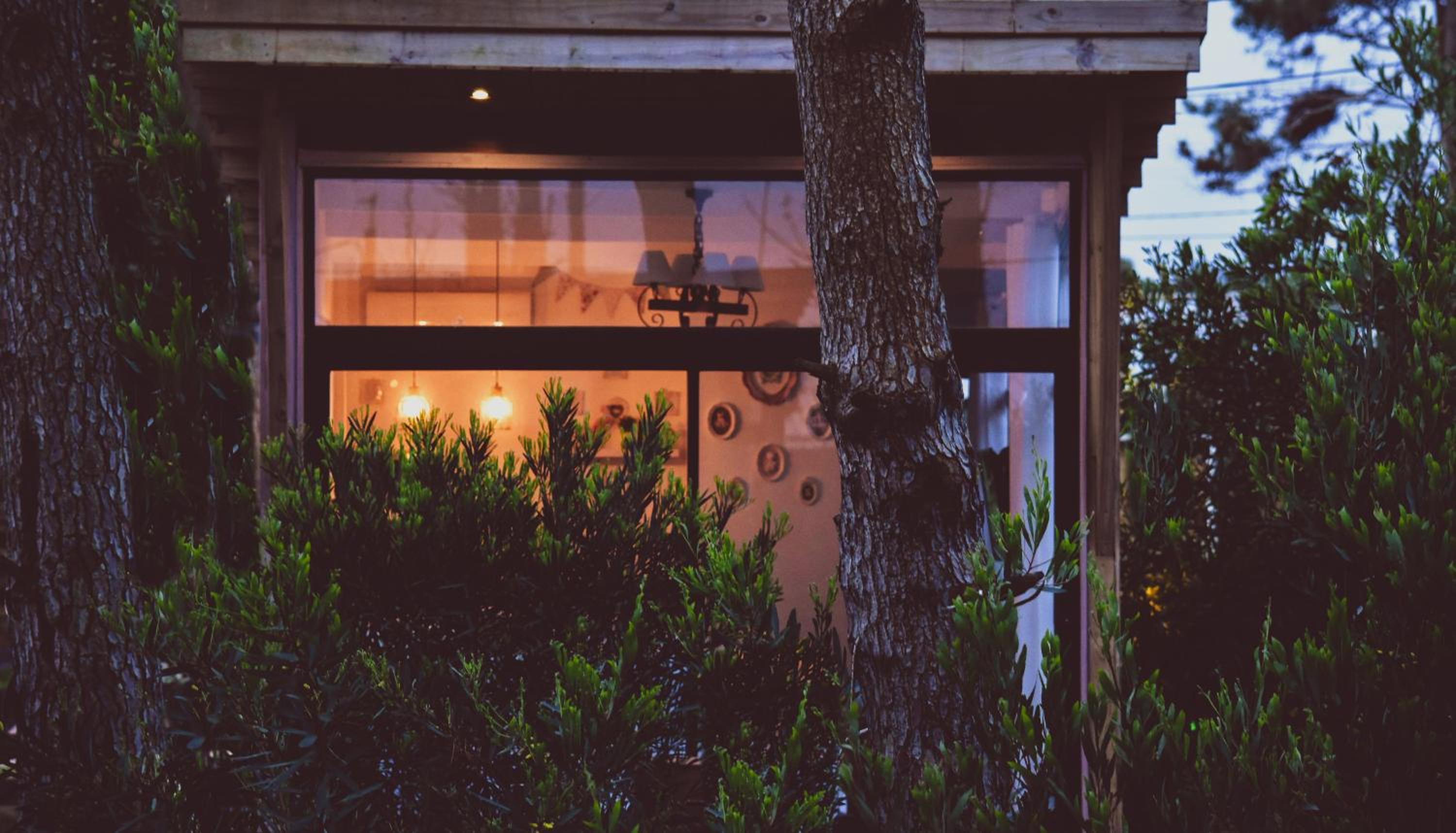 Bungalow with Garden View photo 3