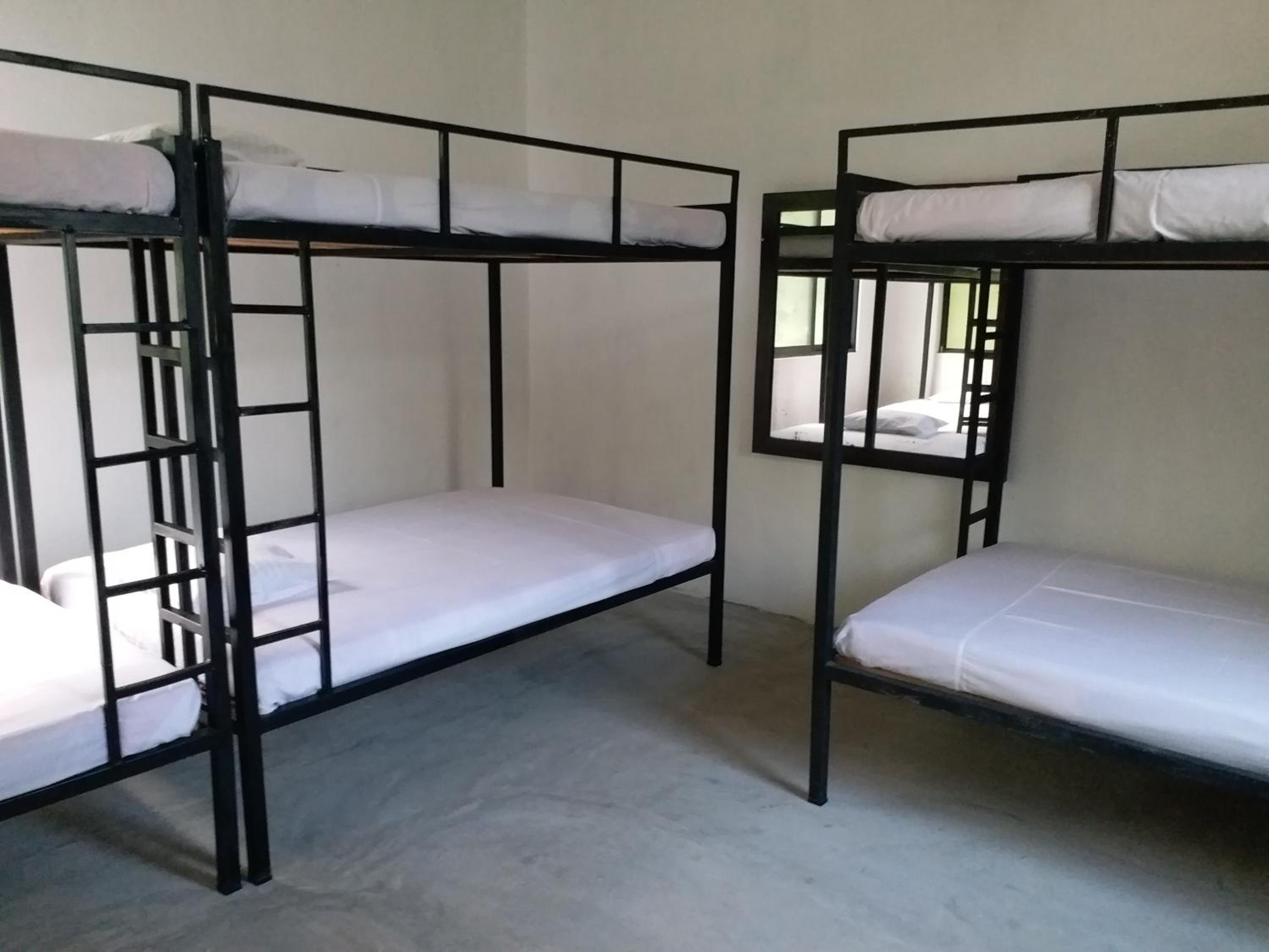 Mixed Dormitory Room