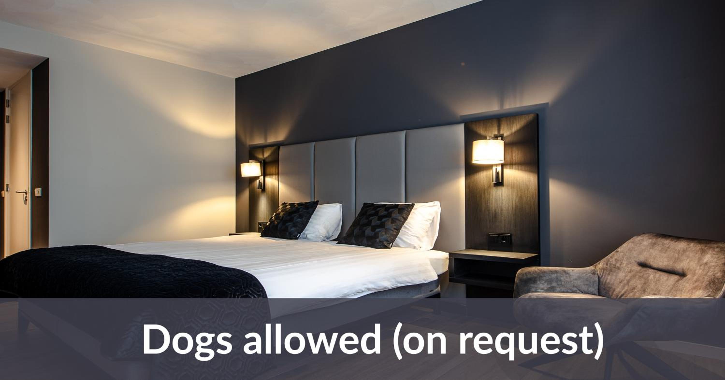 Comfort Plus Room - Photo 5