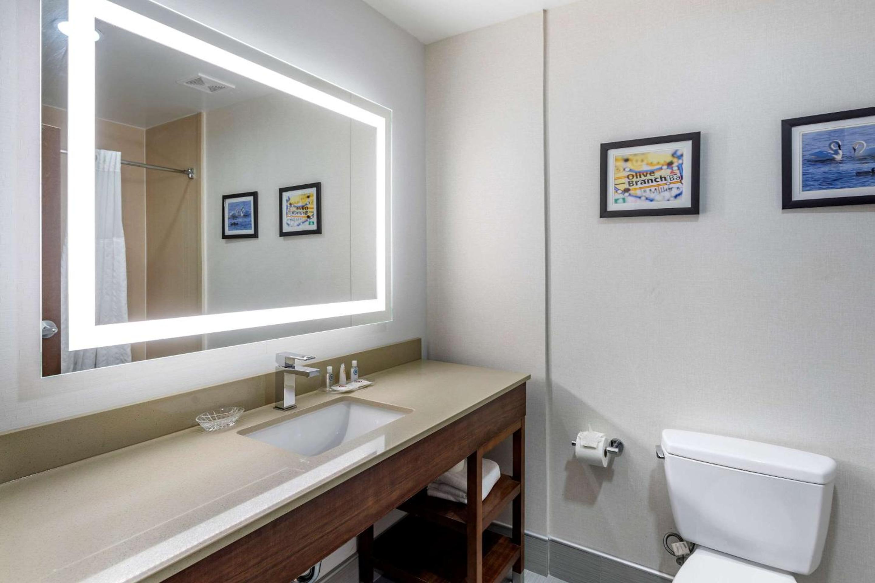 King Suite - Non-Smoking - Photo 4