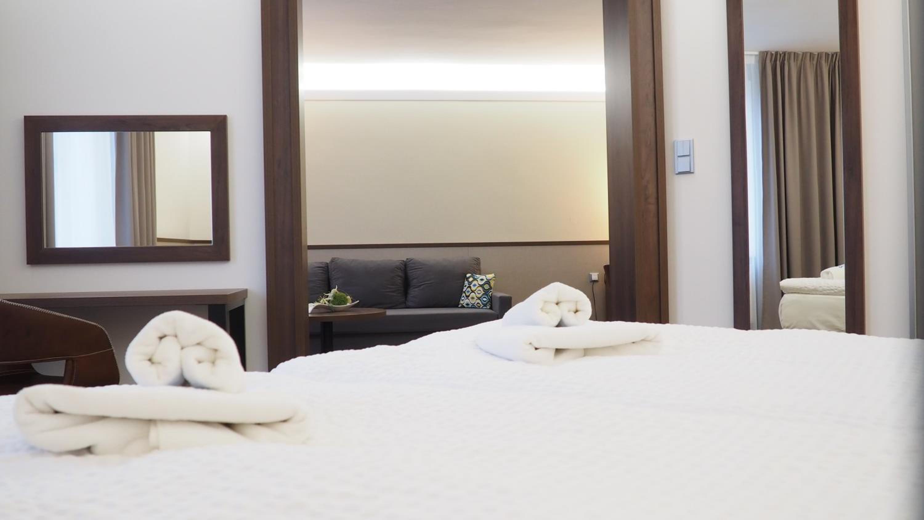 Superior Suite - Photo 15