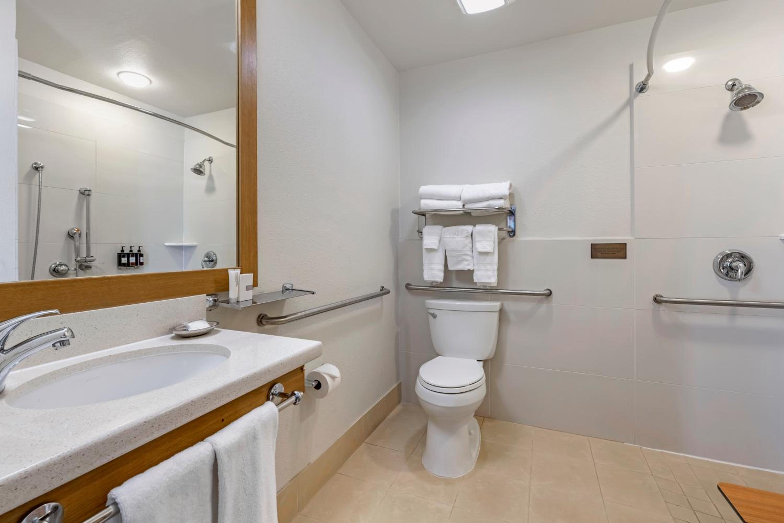 King Room with Roll-In Shower - Disability Access - Photo 4