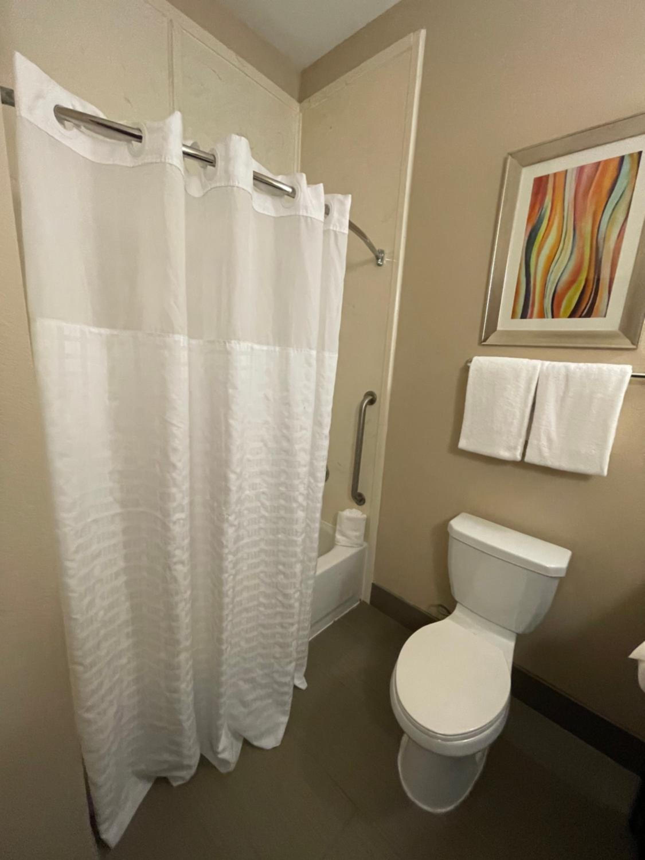 King Suite - Disability Access/Non-Smoking - Photo 2