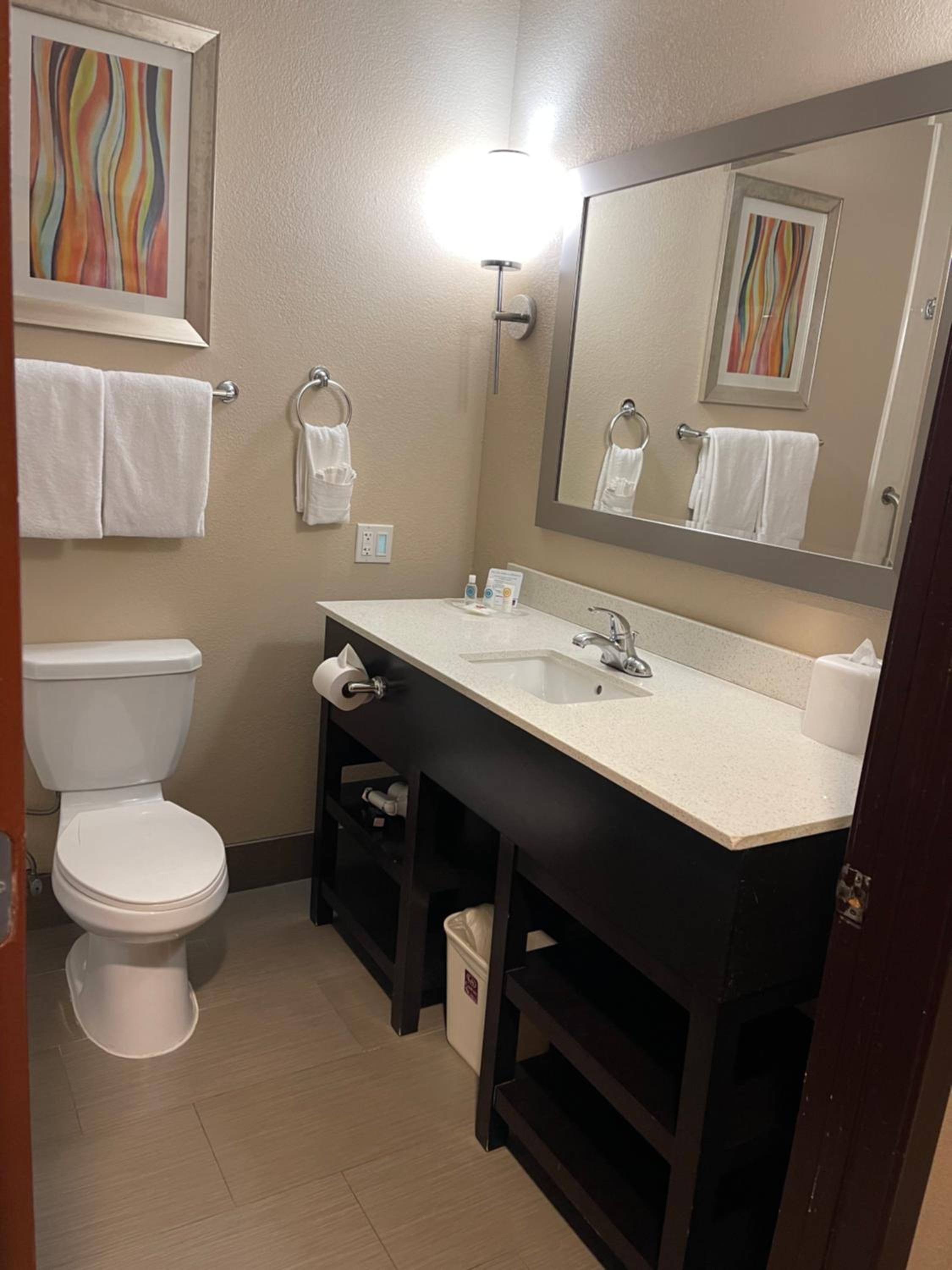 King Suite - Disability Access/Non-Smoking - Photo 20
