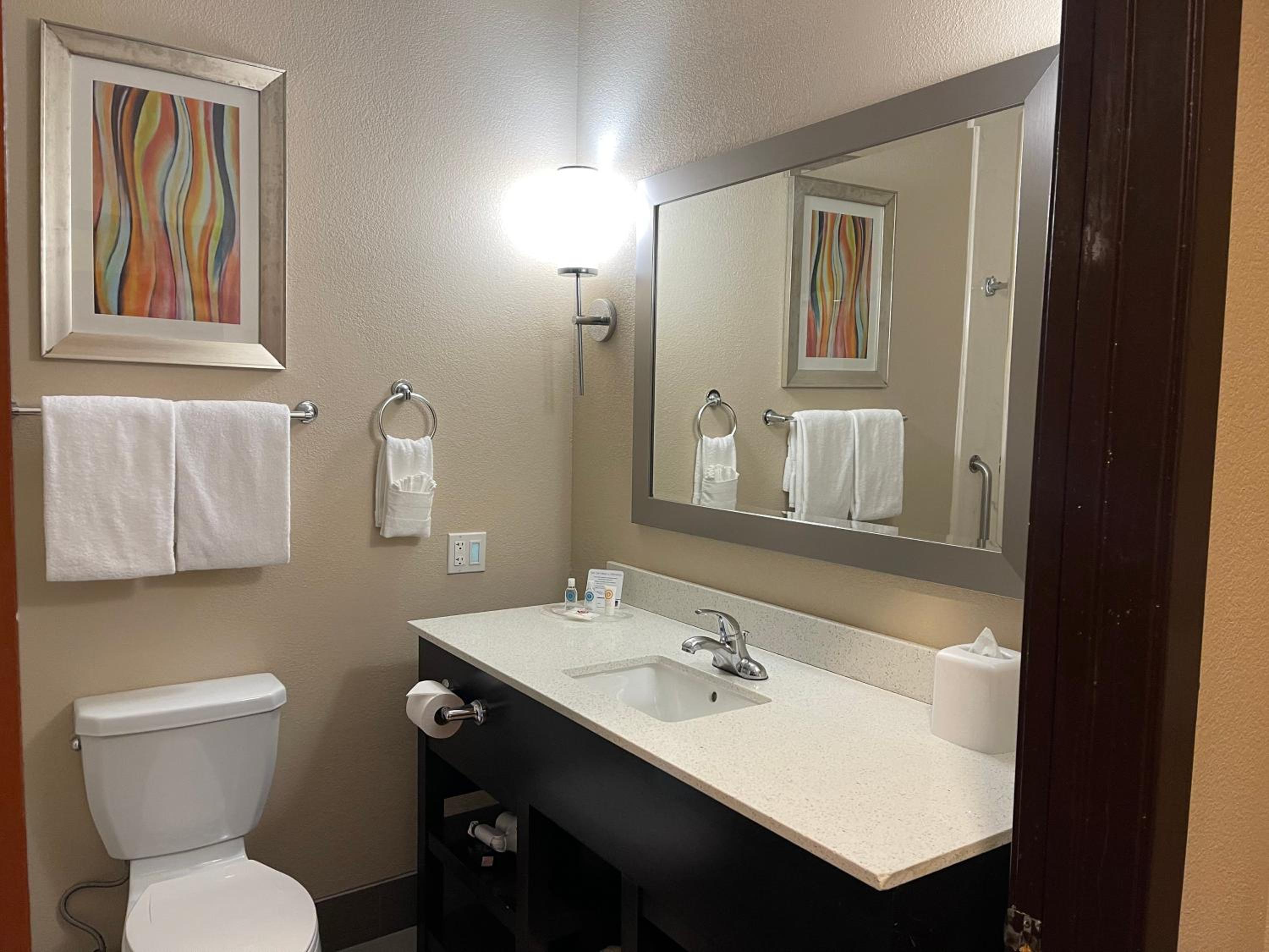 King Suite - Disability Access/Non-Smoking - Photo 21