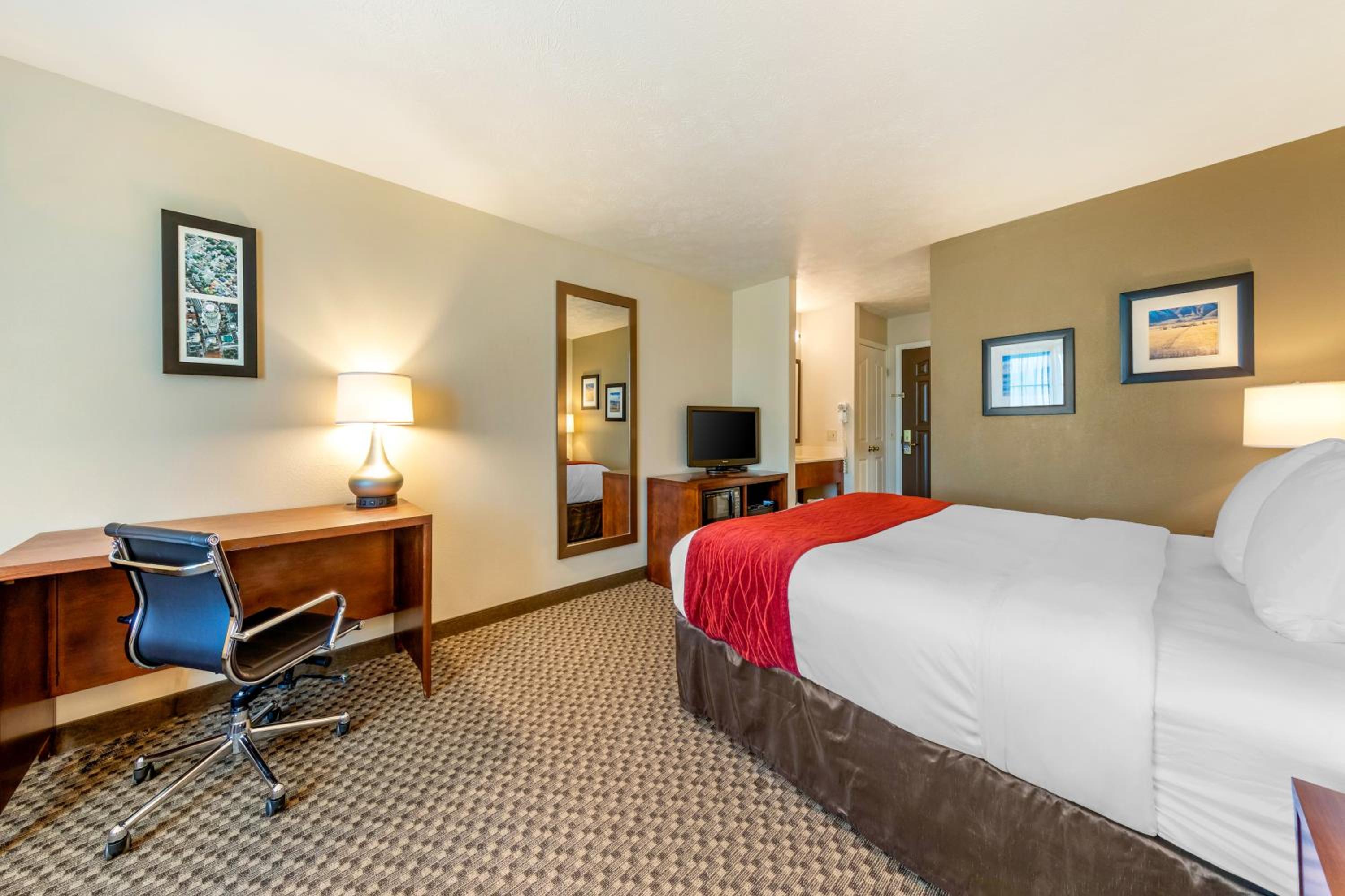 King Room - Non-Smoking - Photo 6