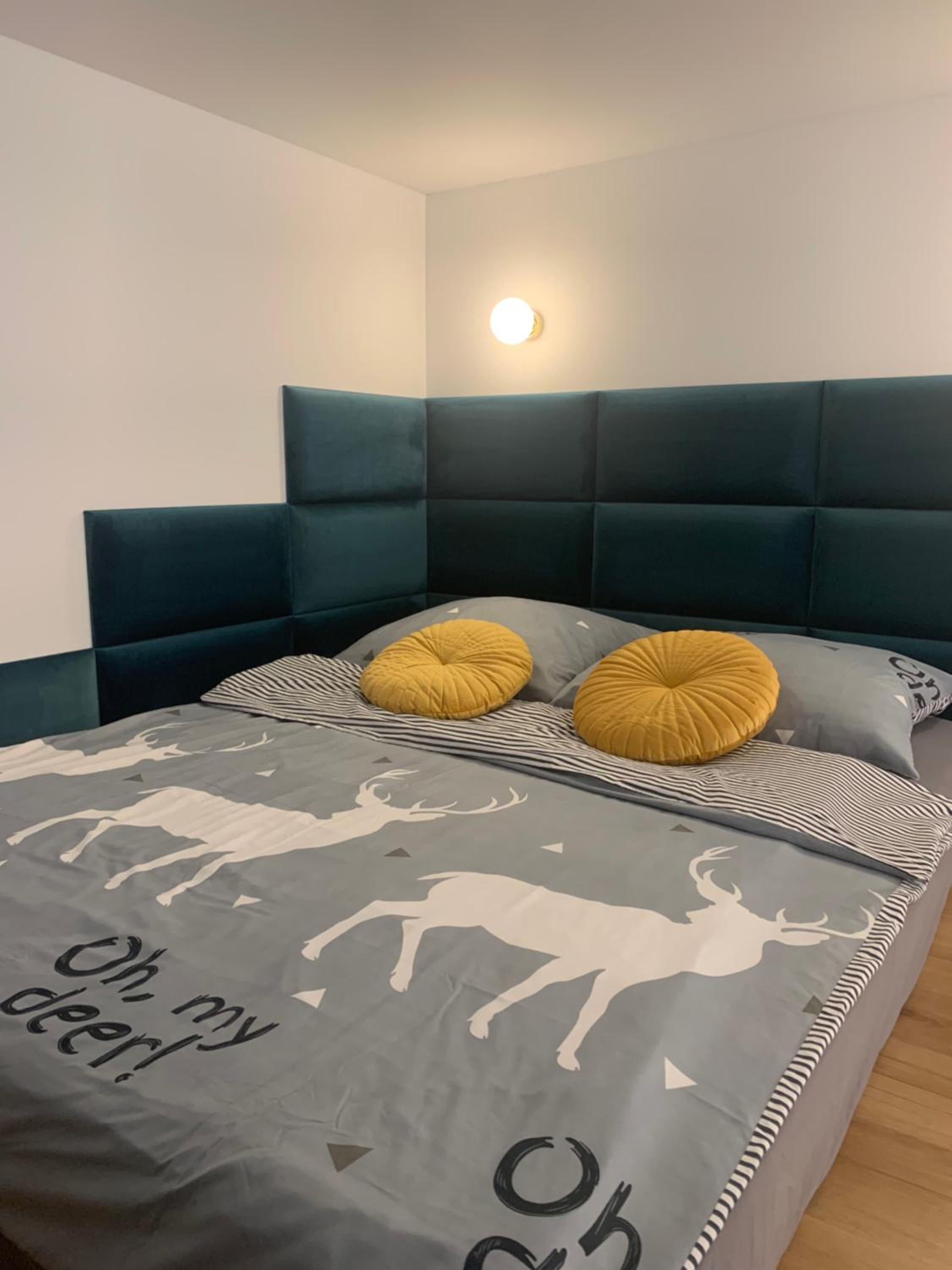 One-Bedroom Apartment photo 3